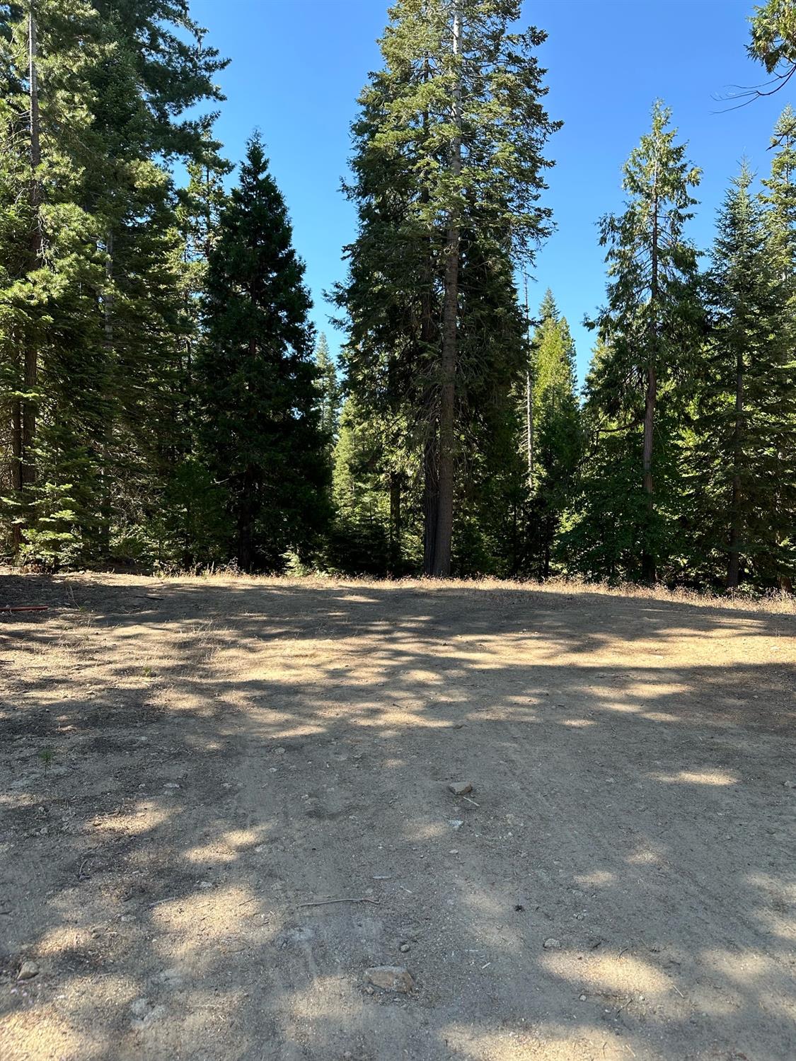 21 Lot Foxglove Lane, Shaver Lake, CA 93664