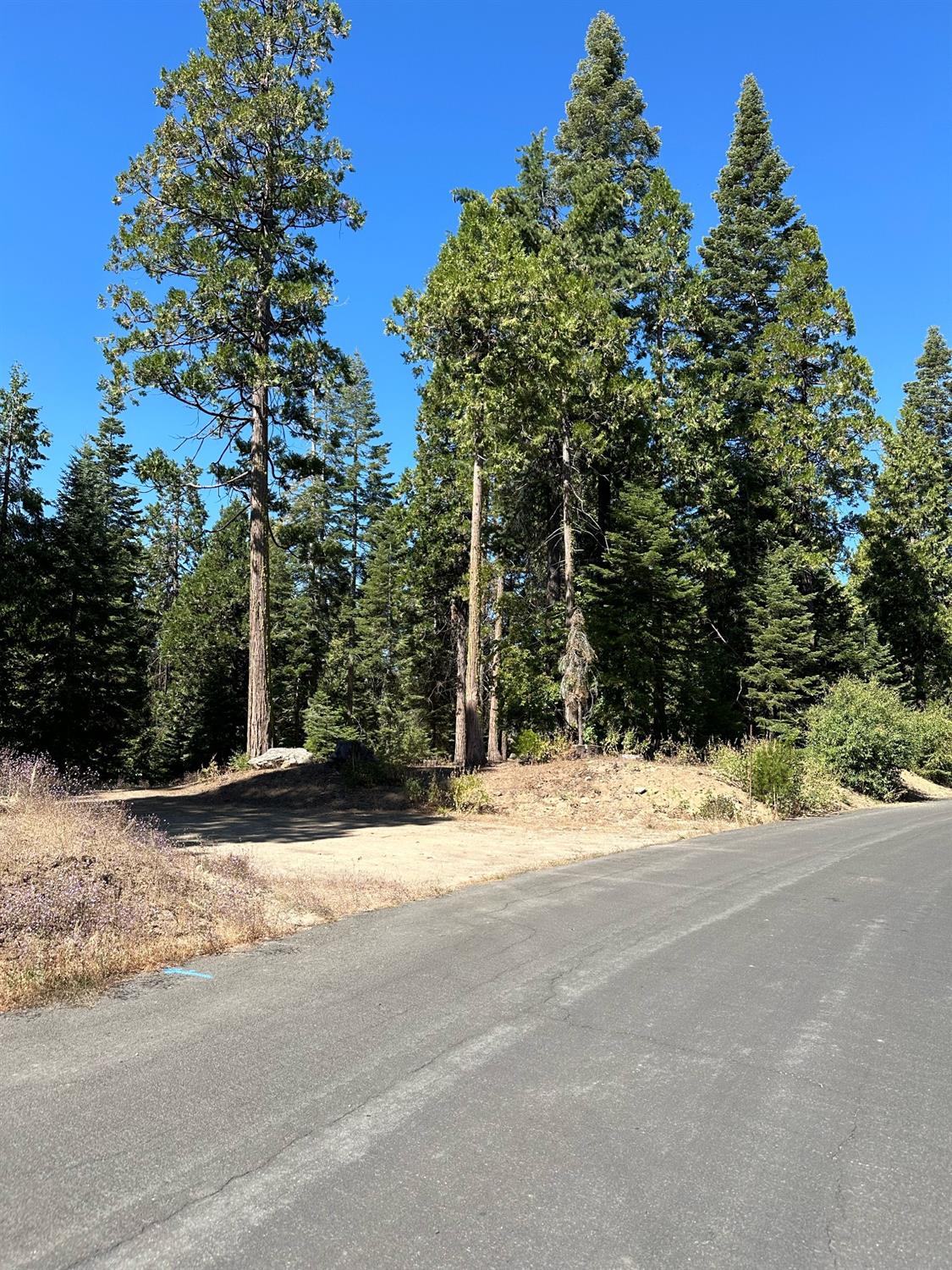 21 Lot Foxglove Lane, Shaver Lake, CA 93664