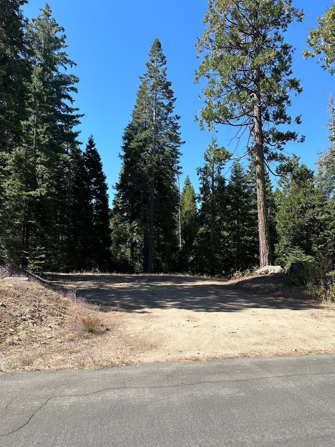 21 Lot Foxglove Lane, Shaver Lake, CA 93664