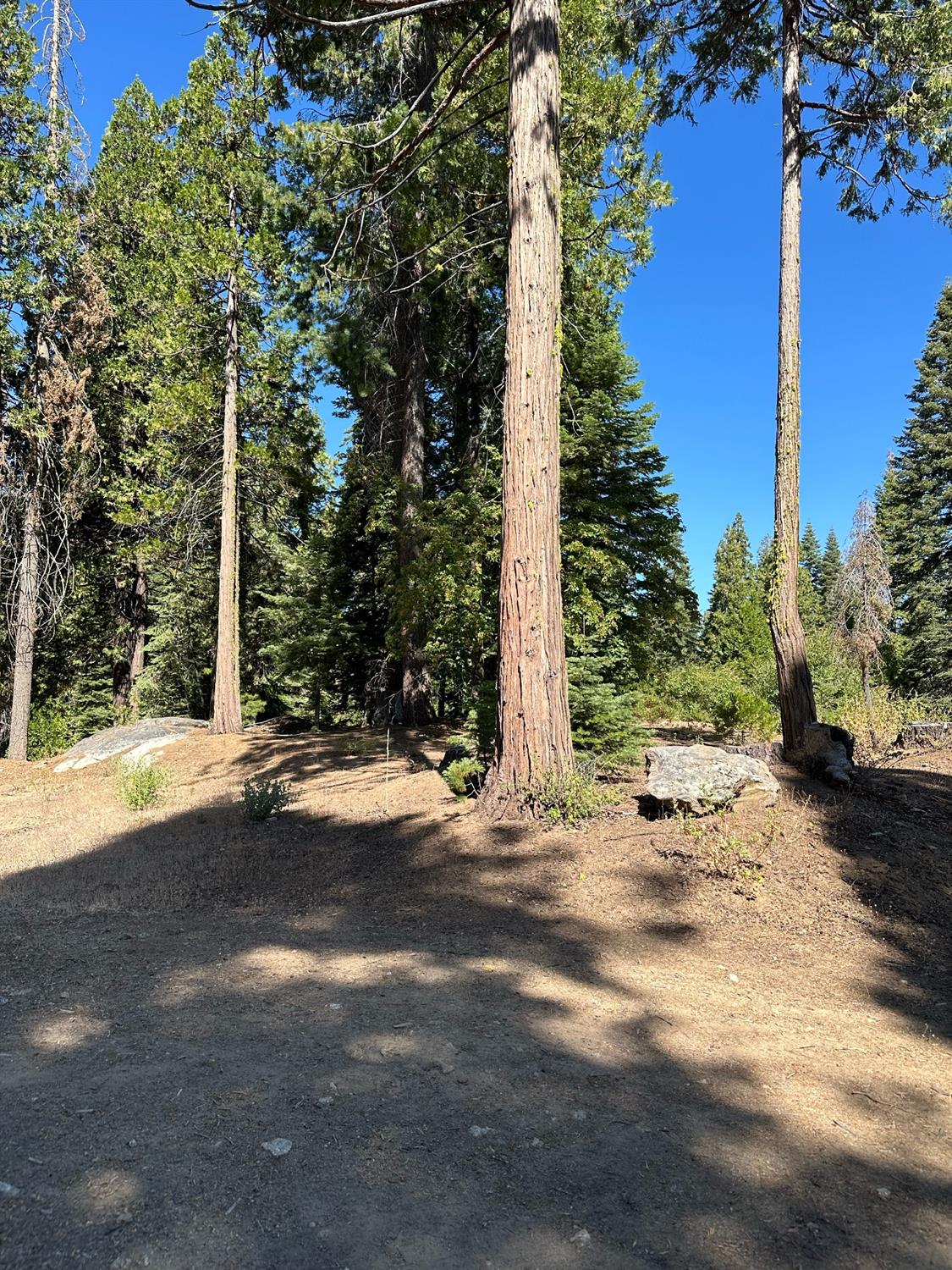 21 Lot Foxglove Lane, Shaver Lake, CA 93664