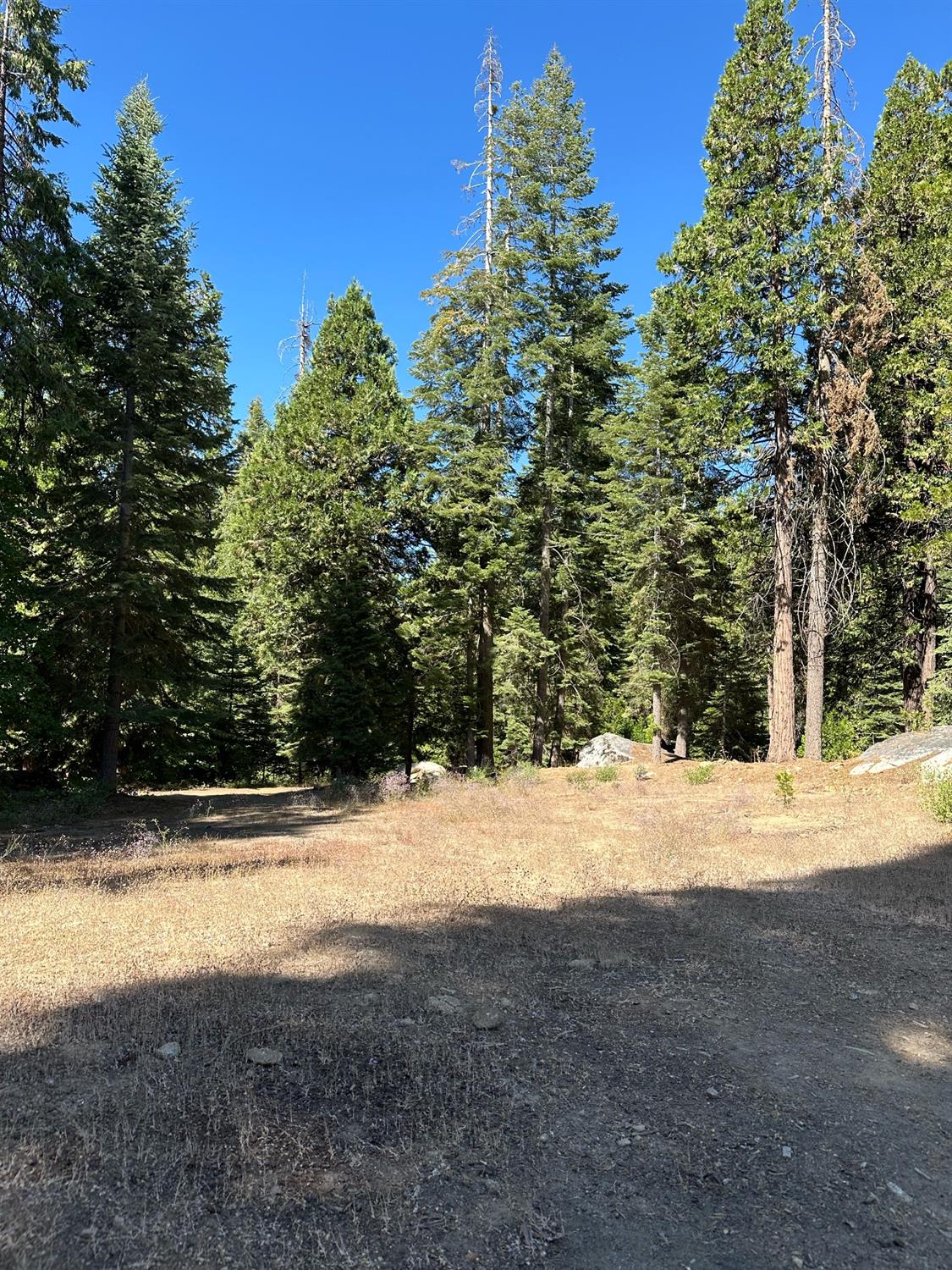 21 Lot Foxglove Lane, Shaver Lake, CA 93664