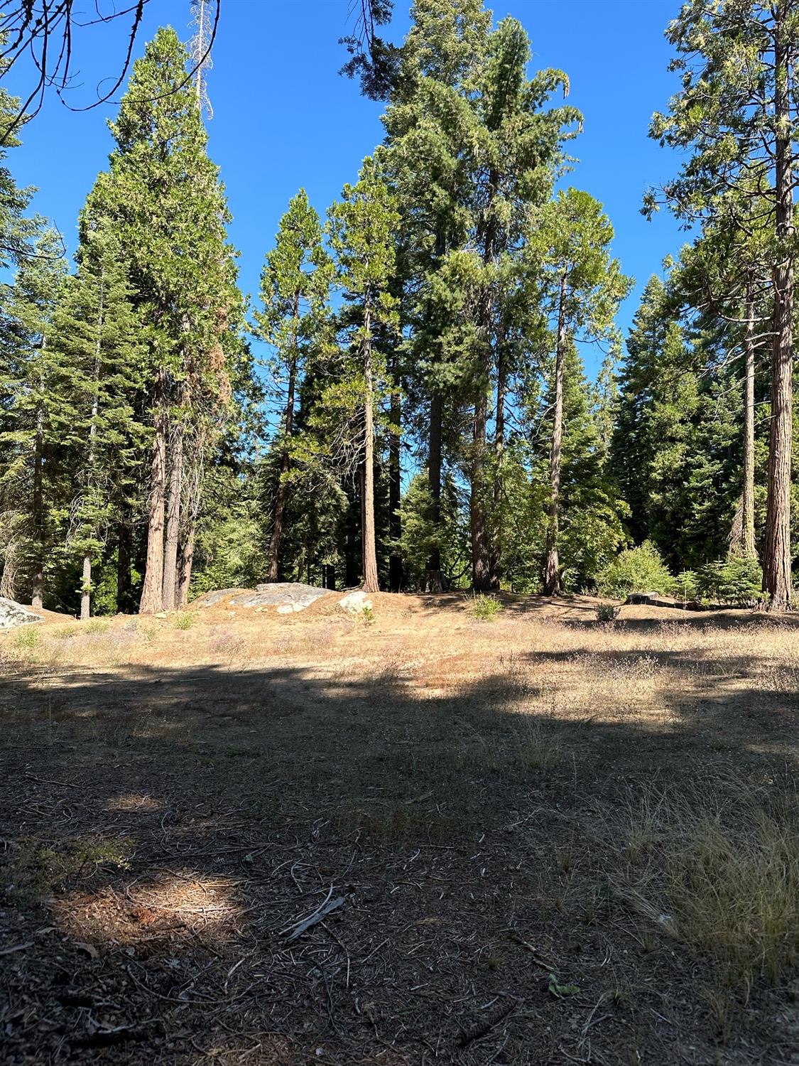 21 Lot Foxglove Lane, Shaver Lake, CA 93664