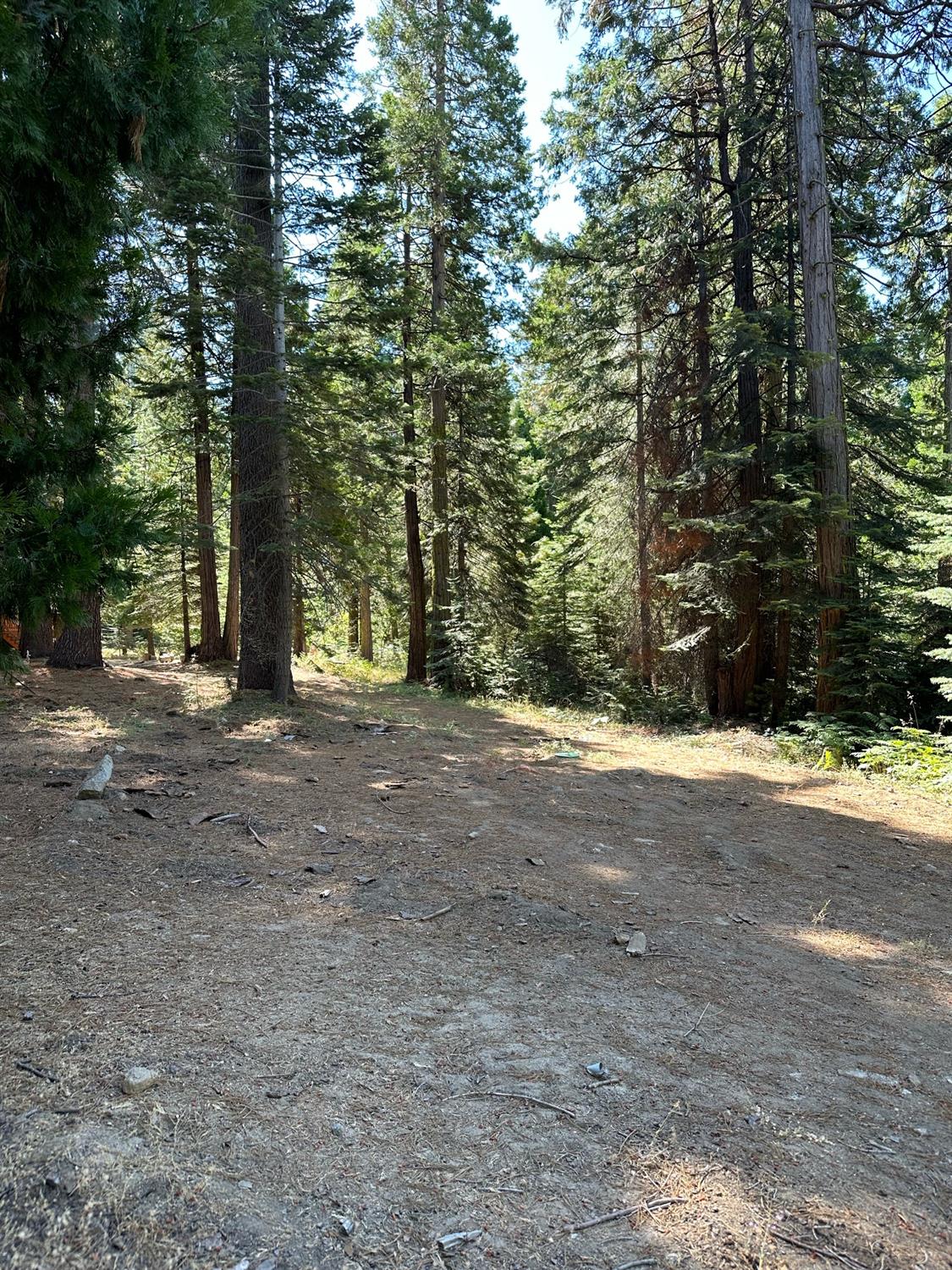 21 Lot Foxglove Lane, Shaver Lake, CA 93664