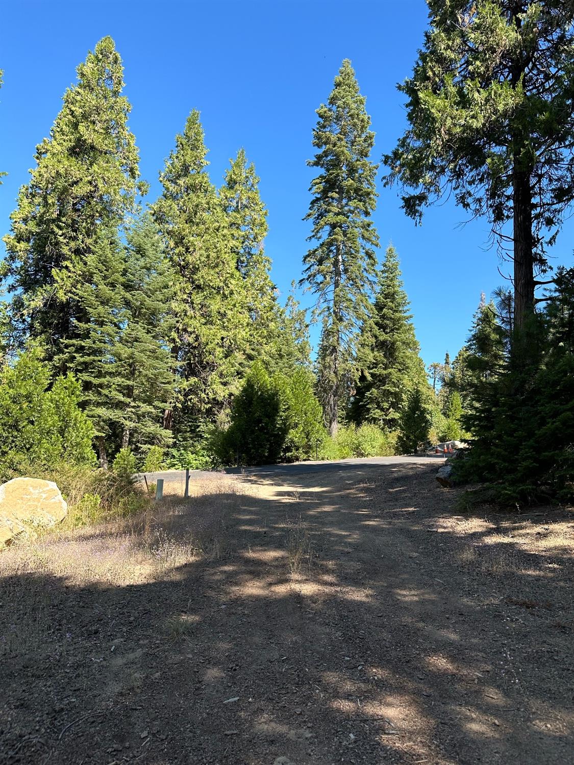 21 Lot Foxglove Lane, Shaver Lake, CA 93664