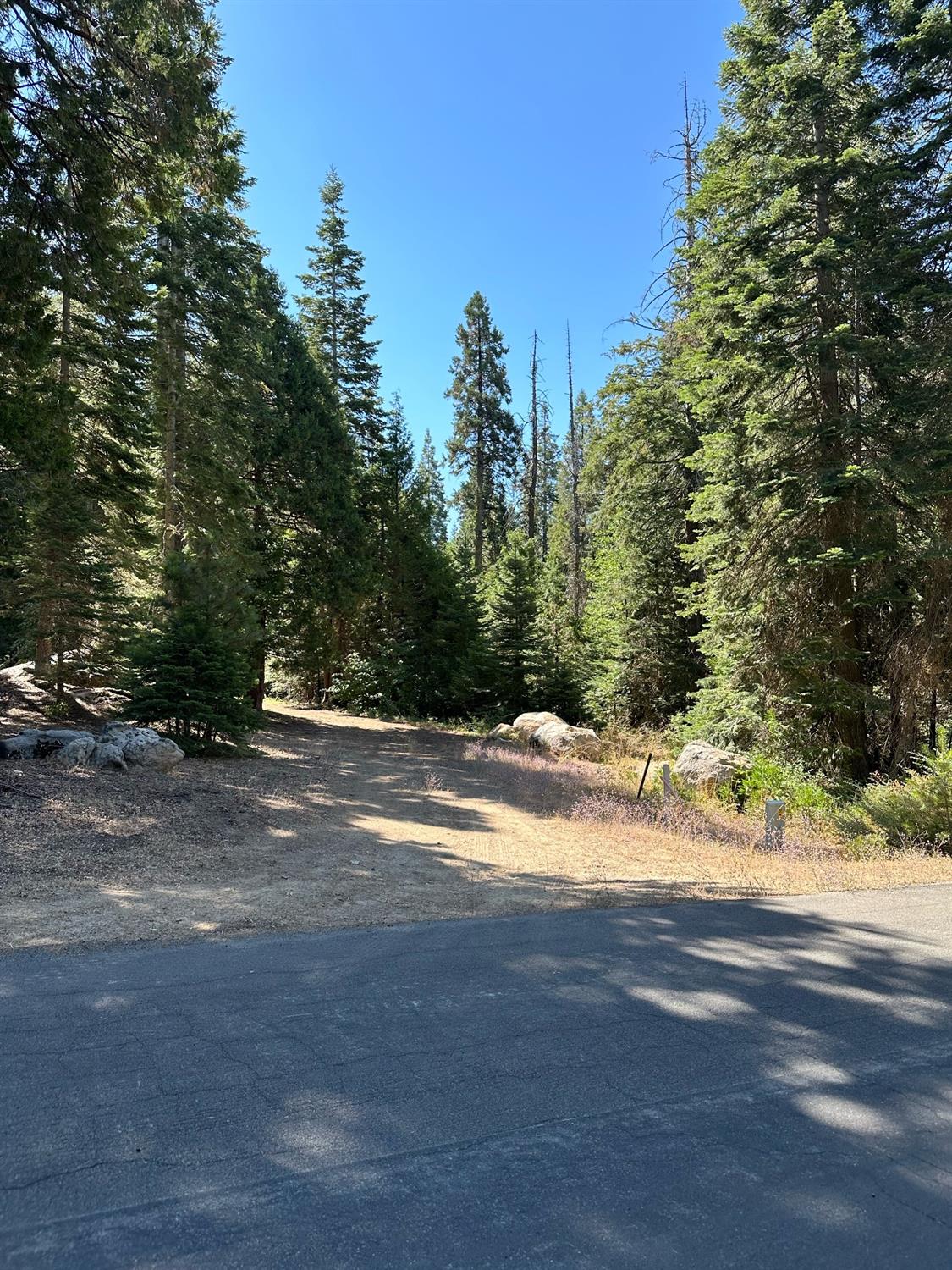 21 Lot Foxglove Lane, Shaver Lake, CA 93664