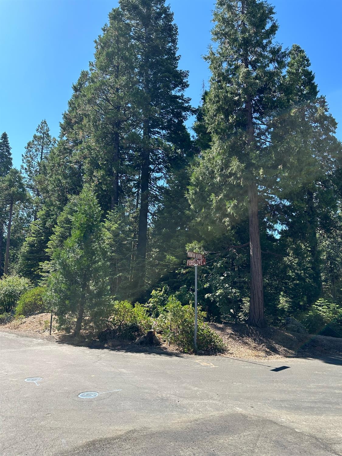 21 Lot Foxglove Lane, Shaver Lake, CA 93664