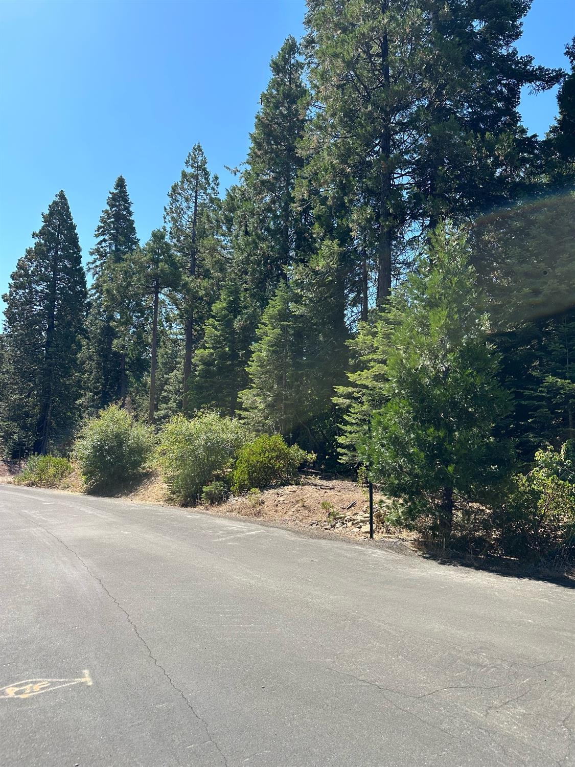 21 Lot Foxglove Lane, Shaver Lake, CA 93664