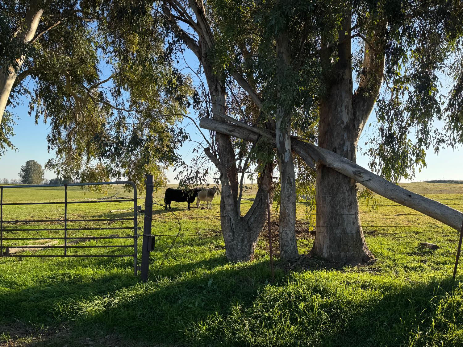 33674 Road 600, Raymond, CA 93653