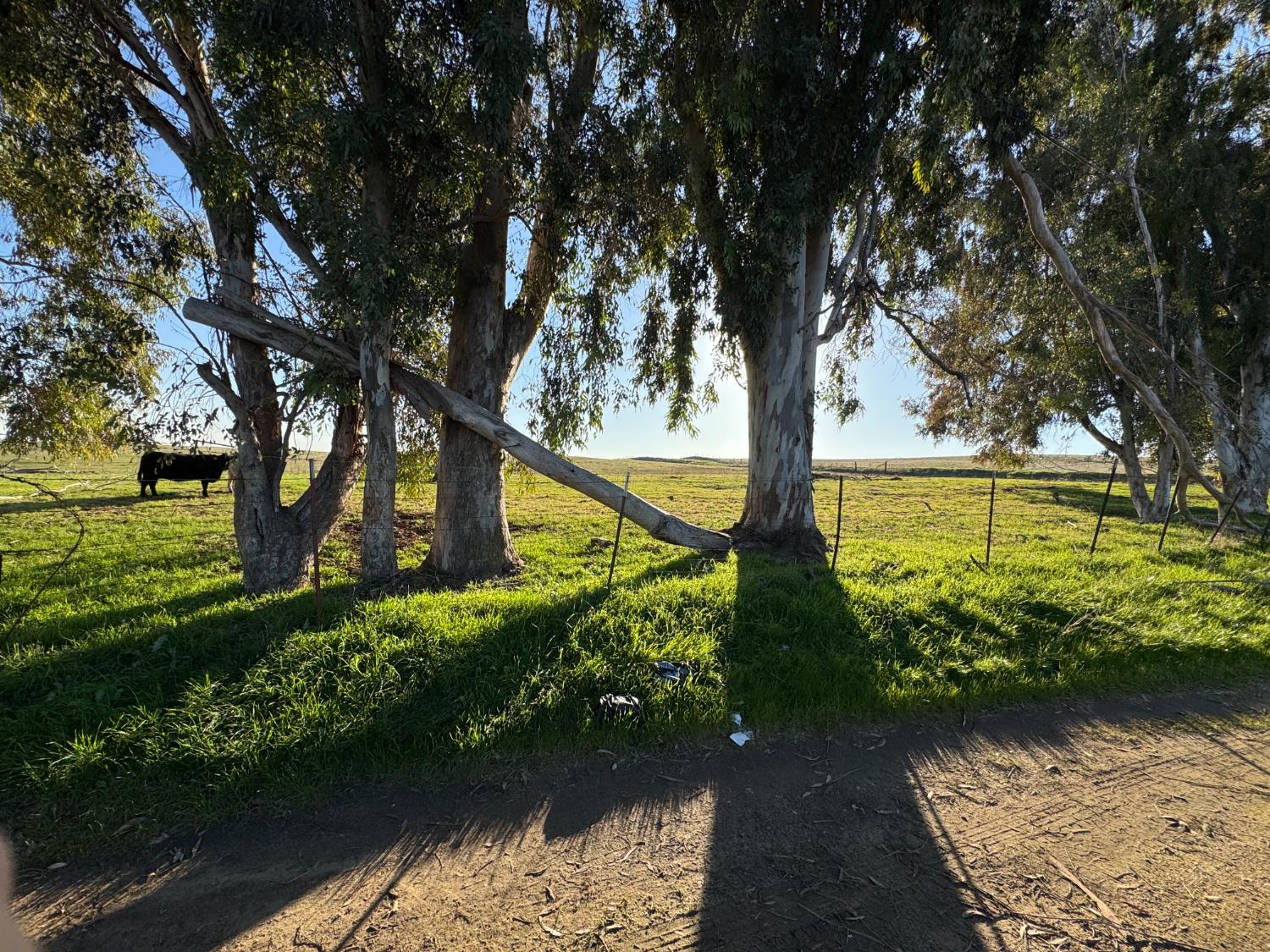 33674 Road 600, Raymond, CA 93653