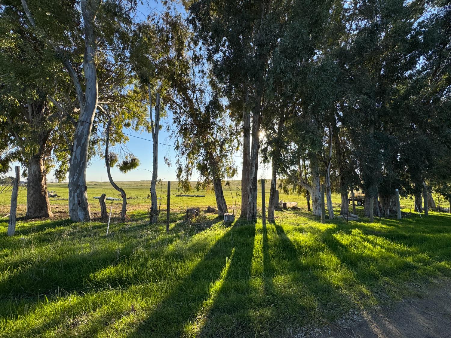 33674 Road 600, Raymond, CA 93653