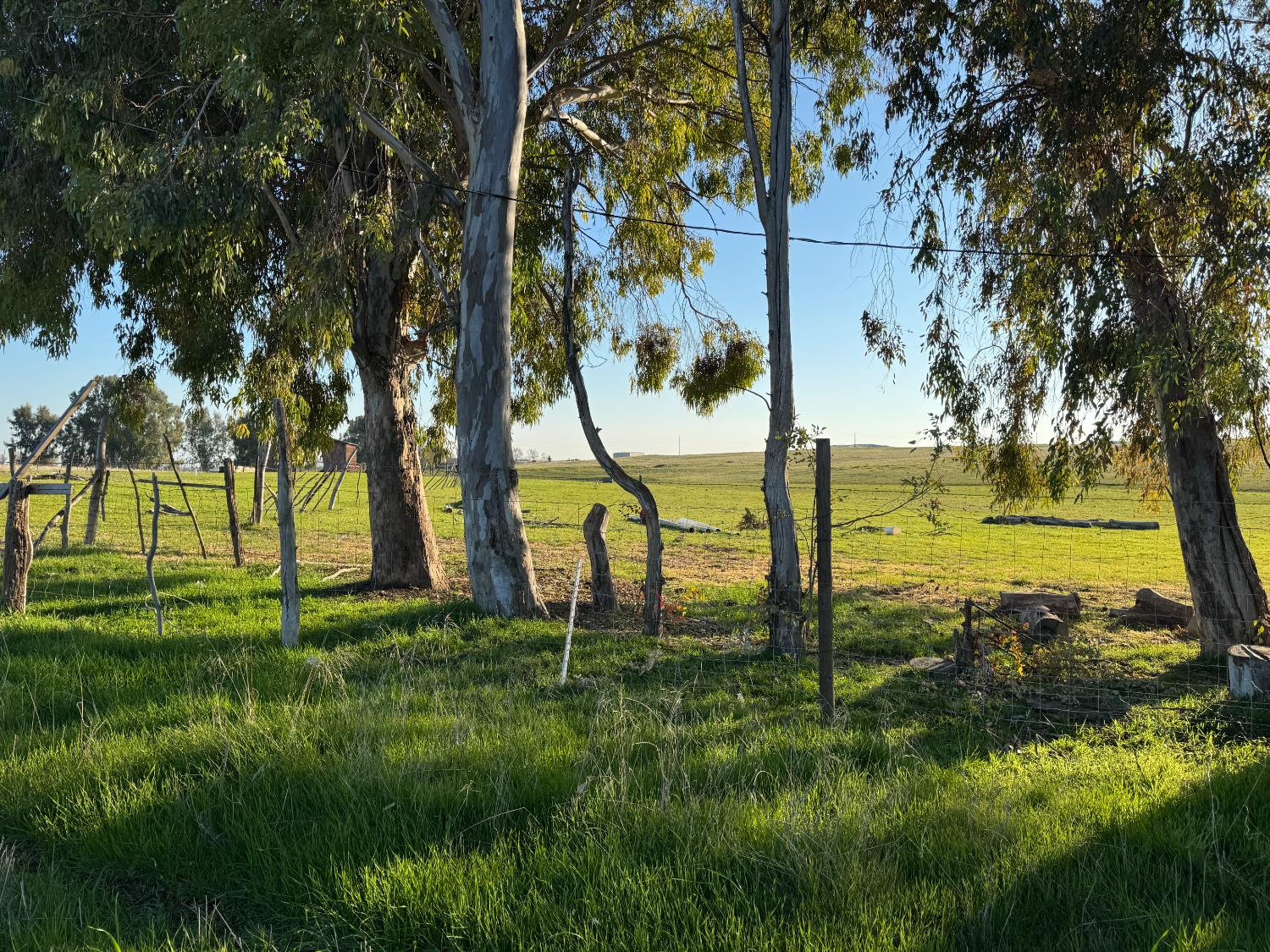 33674 Road 600, Raymond, CA 93653