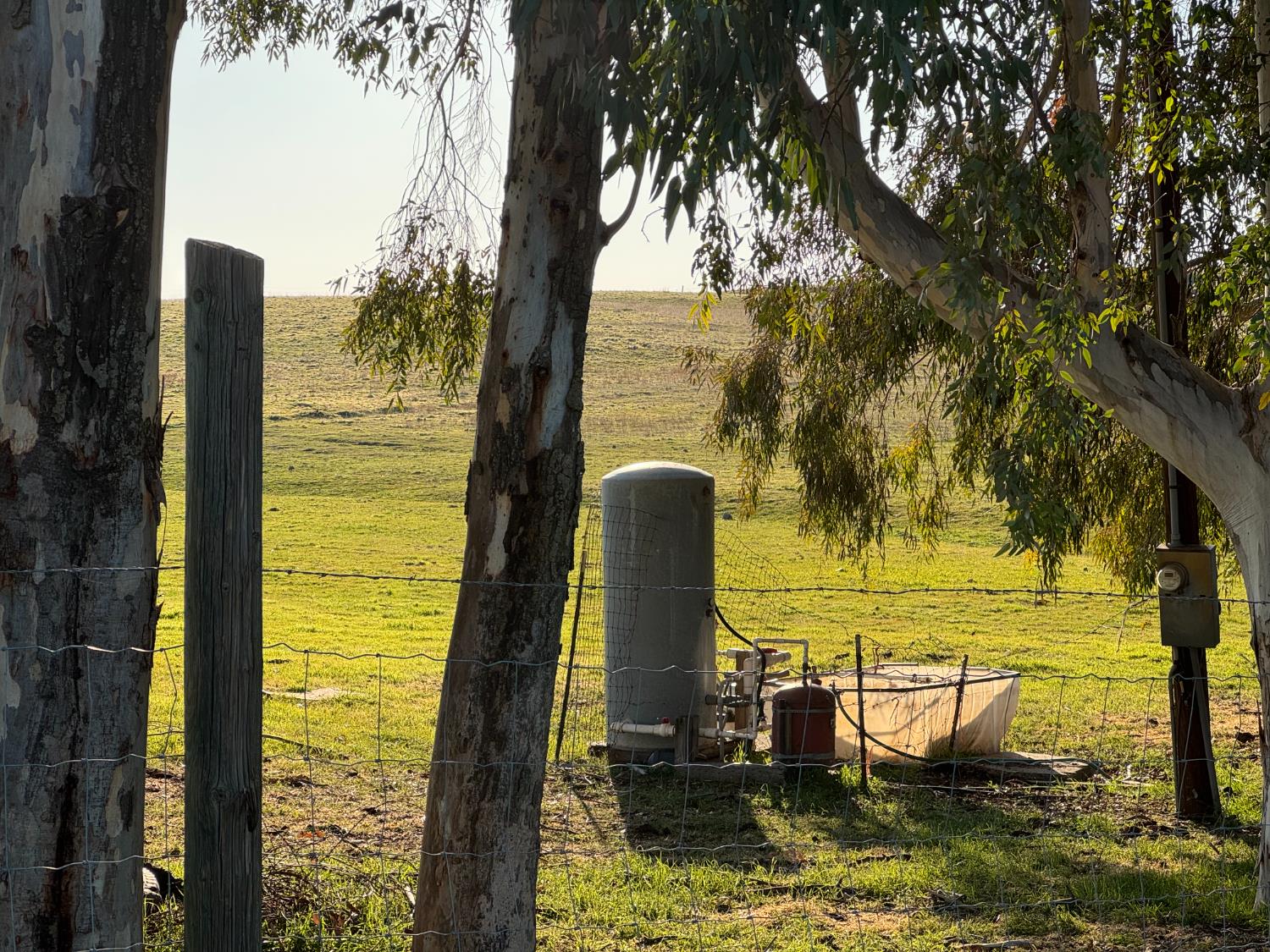 33674 Road 600, Raymond, CA 93653