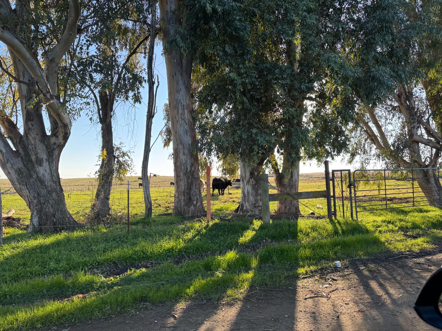 33674 Road 600, Raymond, CA 93653