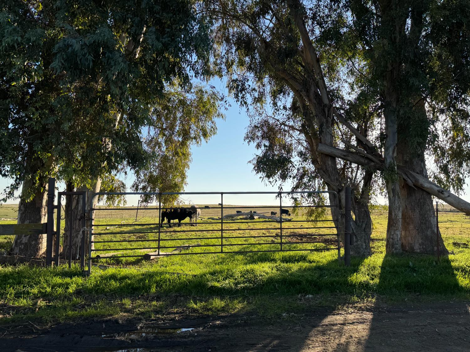 33674 Road 600, Raymond, CA 93653