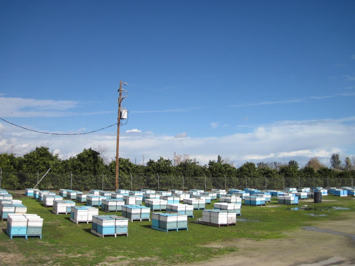 347 E Clayton Ave, Fresno, CA 93725