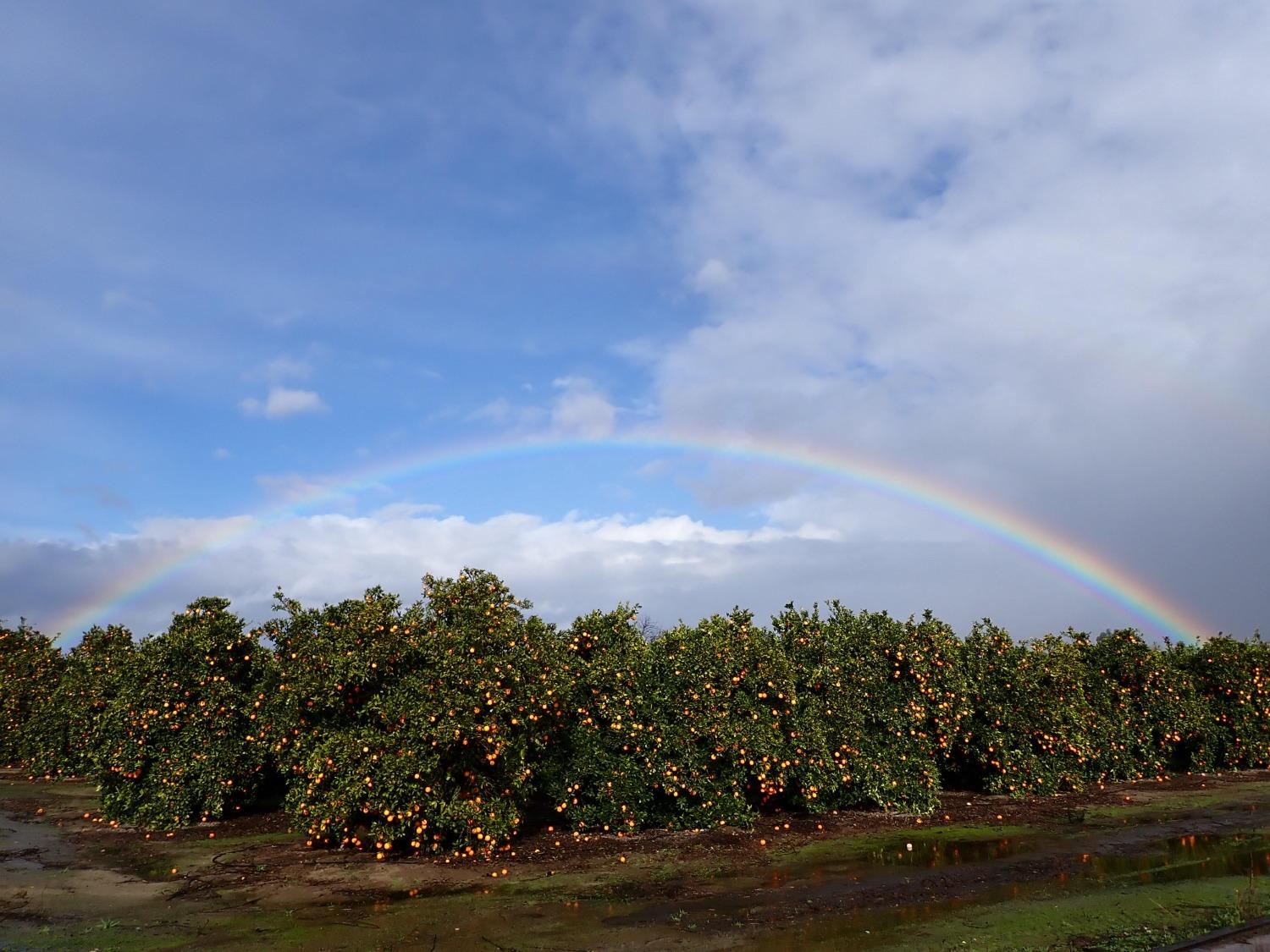 347 E Clayton Ave, Fresno, CA 93725