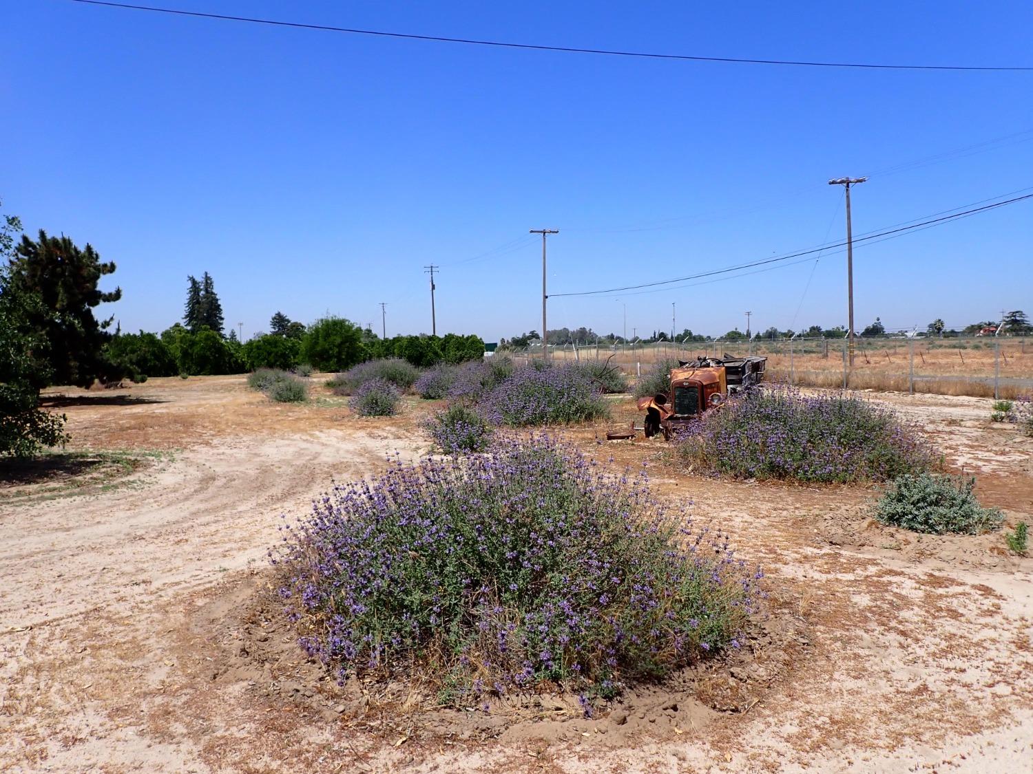 347 E Clayton Ave, Fresno, CA 93725