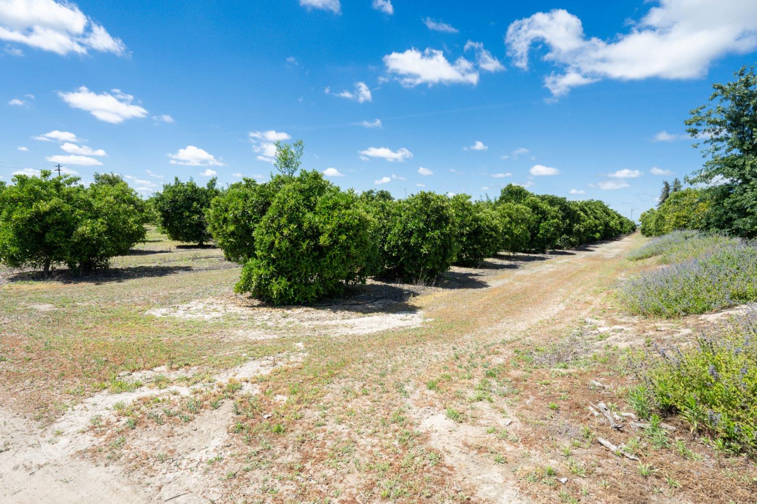 347 E Clayton Ave, Fresno, CA 93725