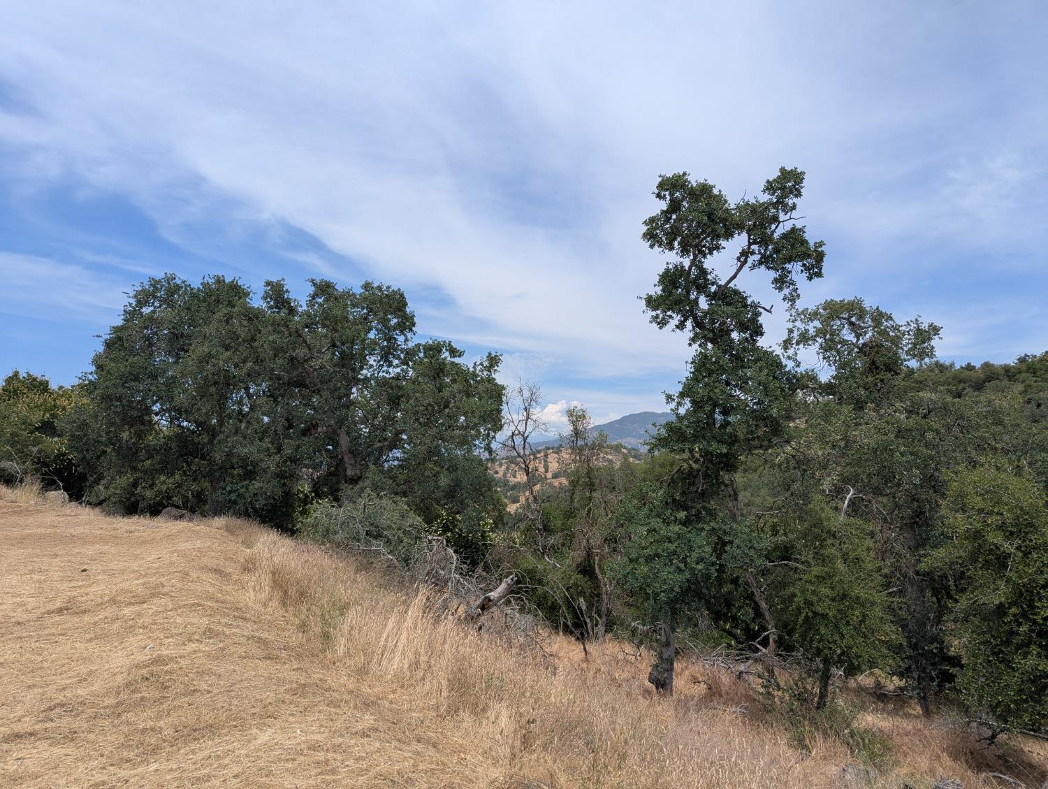 119 Bay Ln, Yokuts Valley, CA 93675