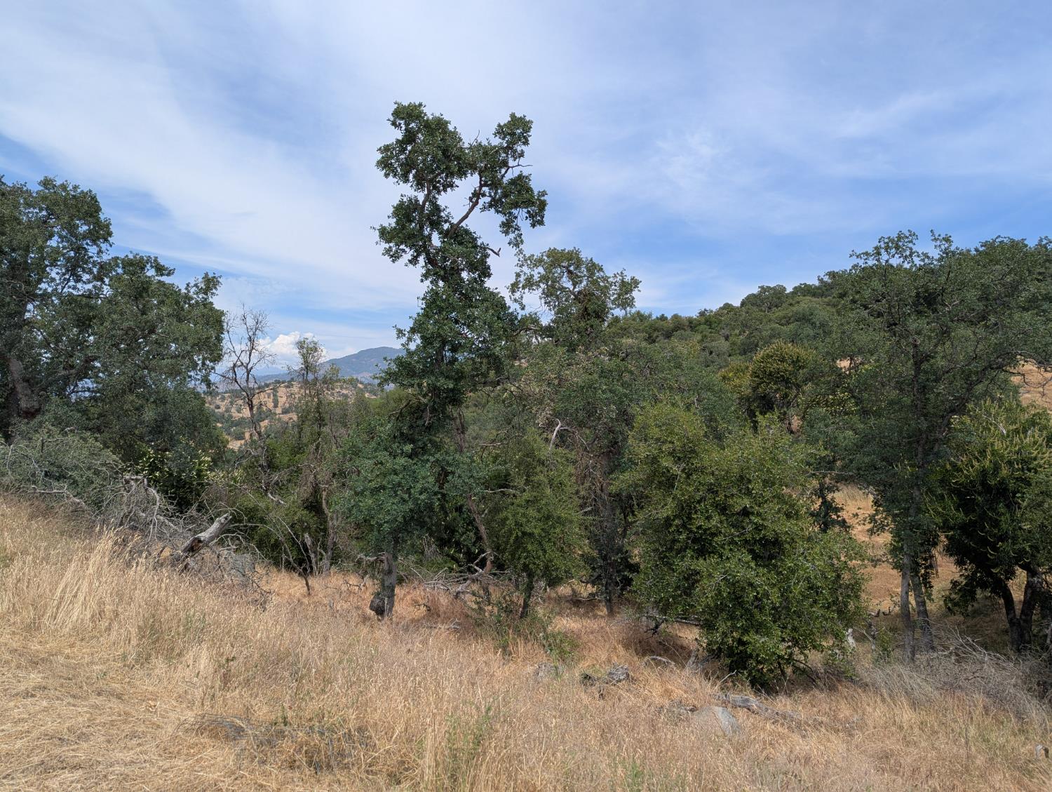 119 Bay Ln, Yokuts Valley, CA 93675