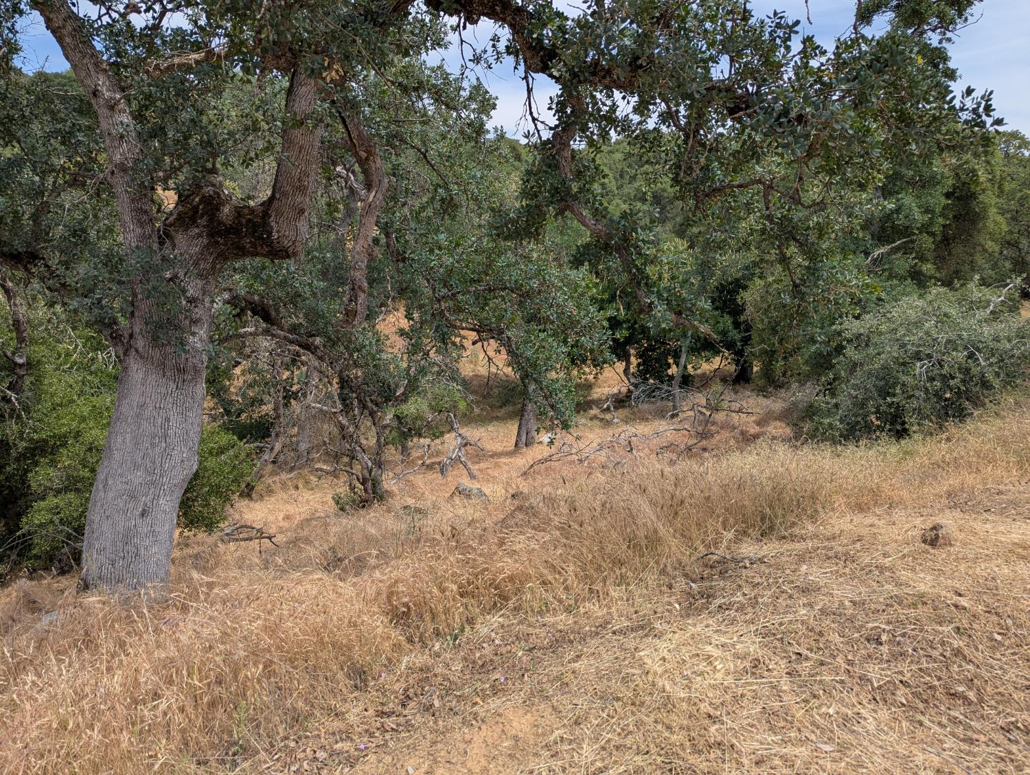 119 Bay Ln, Yokuts Valley, CA 93675