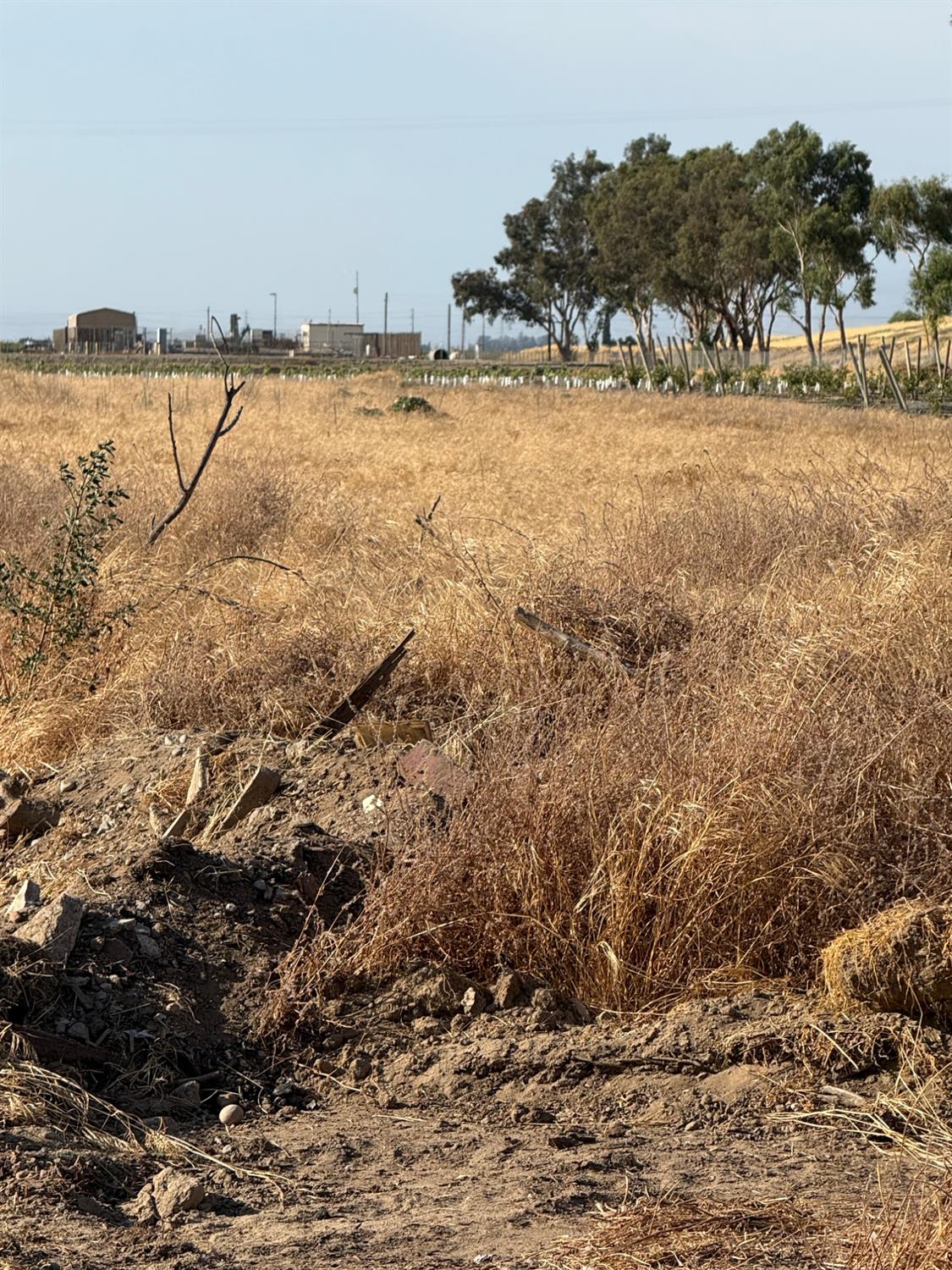 12326 E Dinuba Ave, Selma, CA 96662