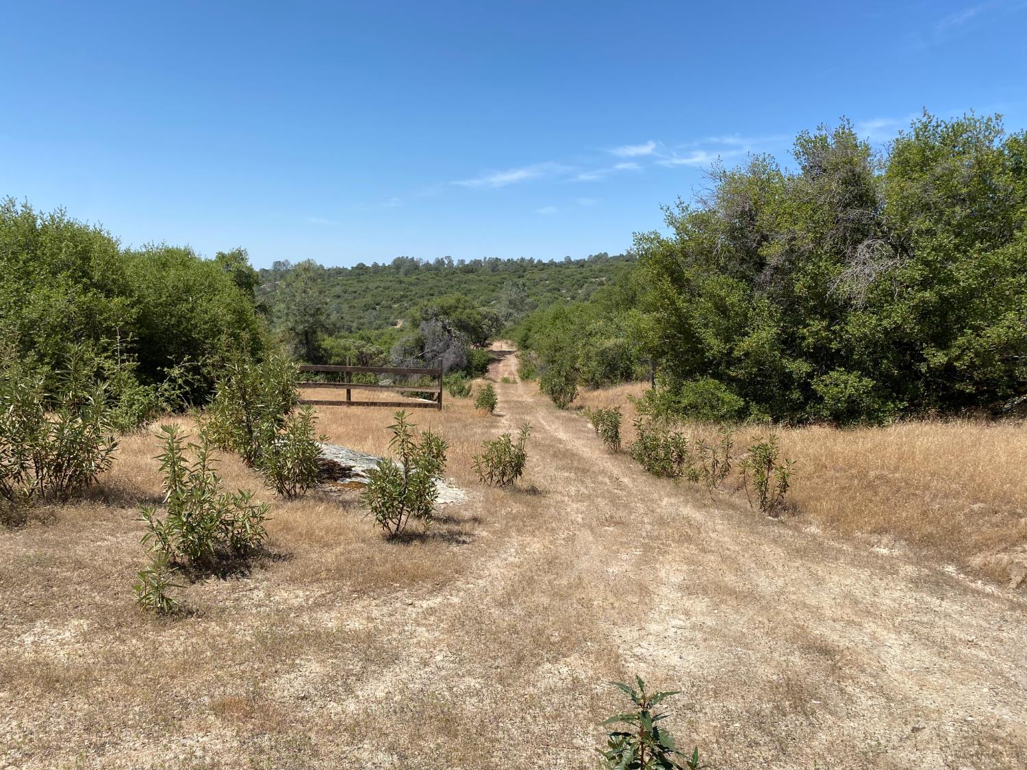 0 38.31 AC Flying O Ranch Rd., Coarsegold, CA 93614