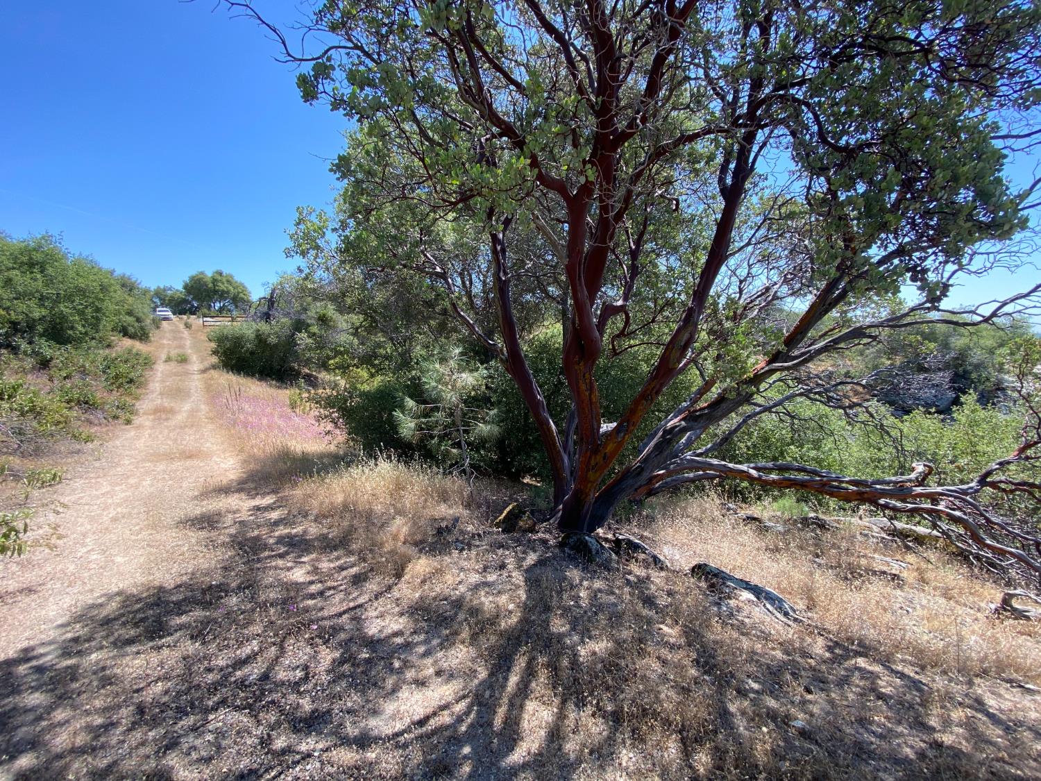 0 38.31 AC Flying O Ranch Rd., Coarsegold, CA 93614