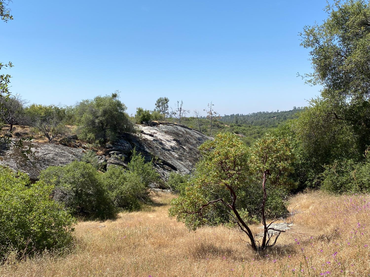 0 38.31 AC Flying O Ranch Rd., Coarsegold, CA 93614