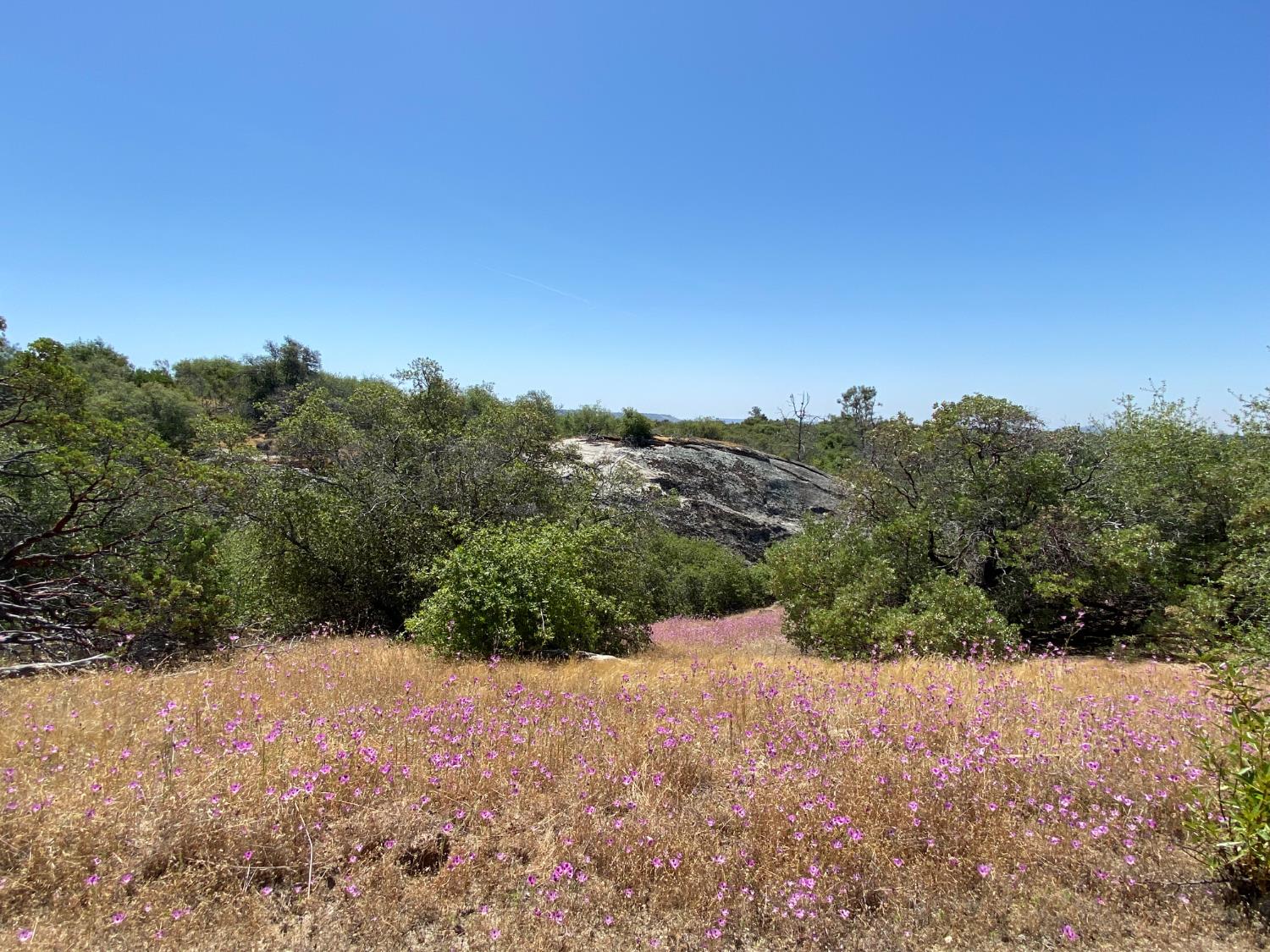 0 38.31 AC Flying O Ranch Rd., Coarsegold, CA 93614