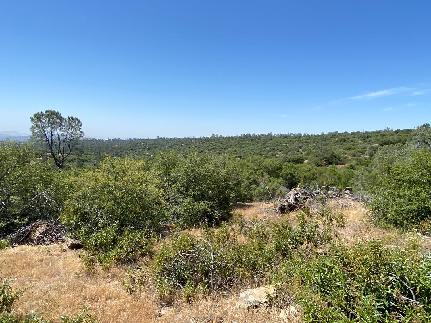 0 38.31 AC Flying O Ranch Rd., Coarsegold, CA 93614