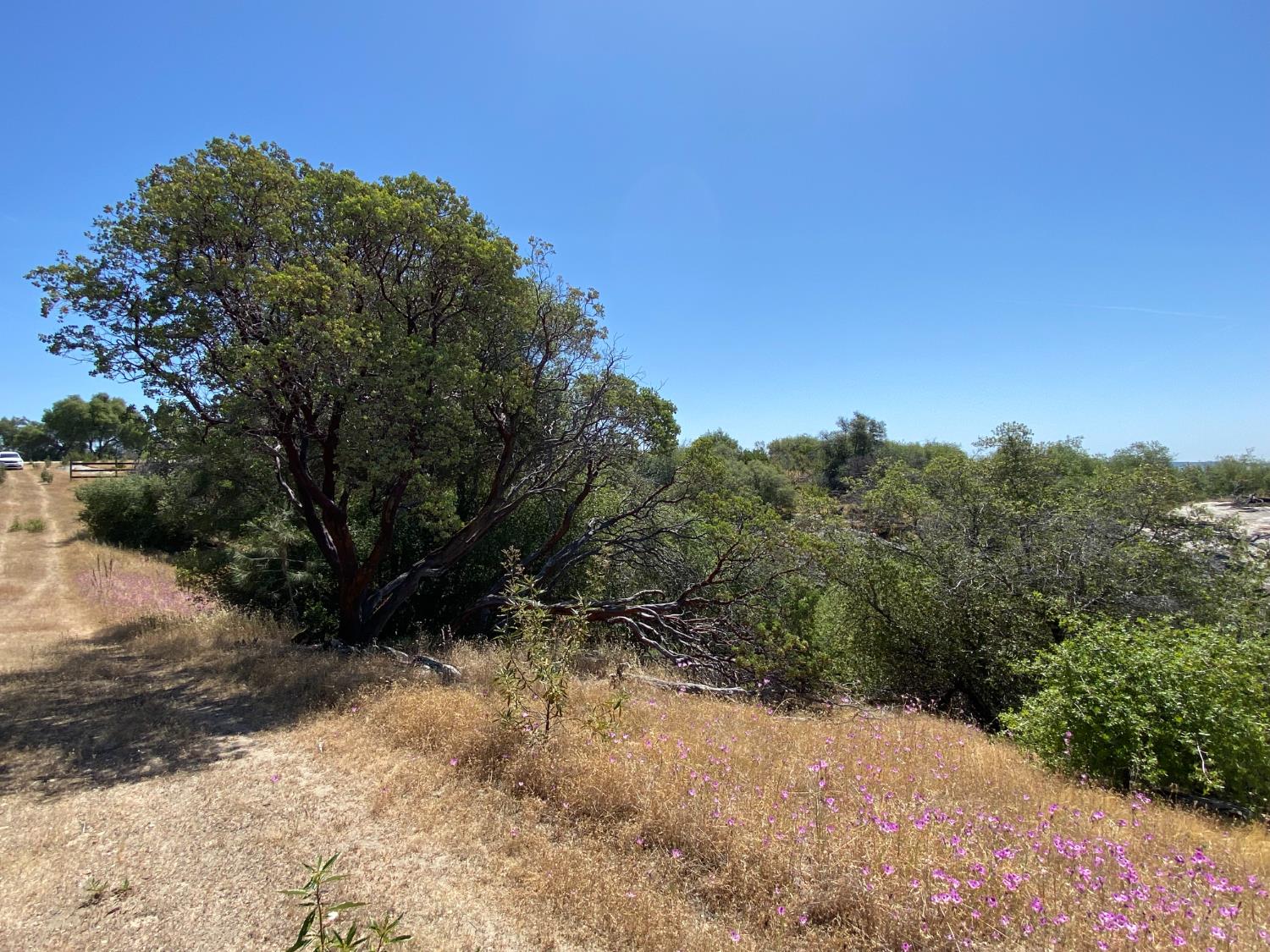 0 38.31 AC Flying O Ranch Rd., Coarsegold, CA 93614