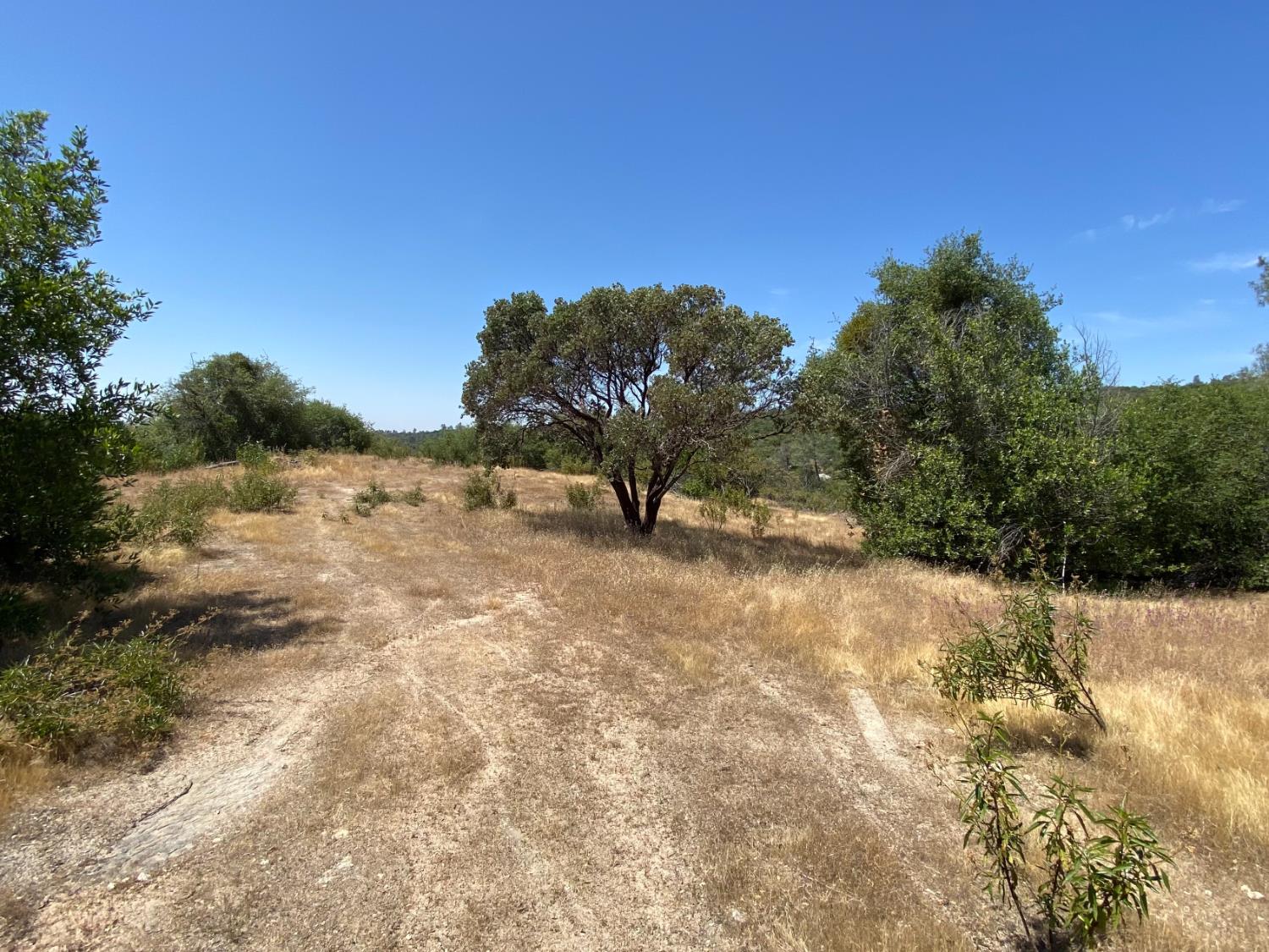 0 38.31 AC Flying O Ranch Rd., Coarsegold, CA 93614