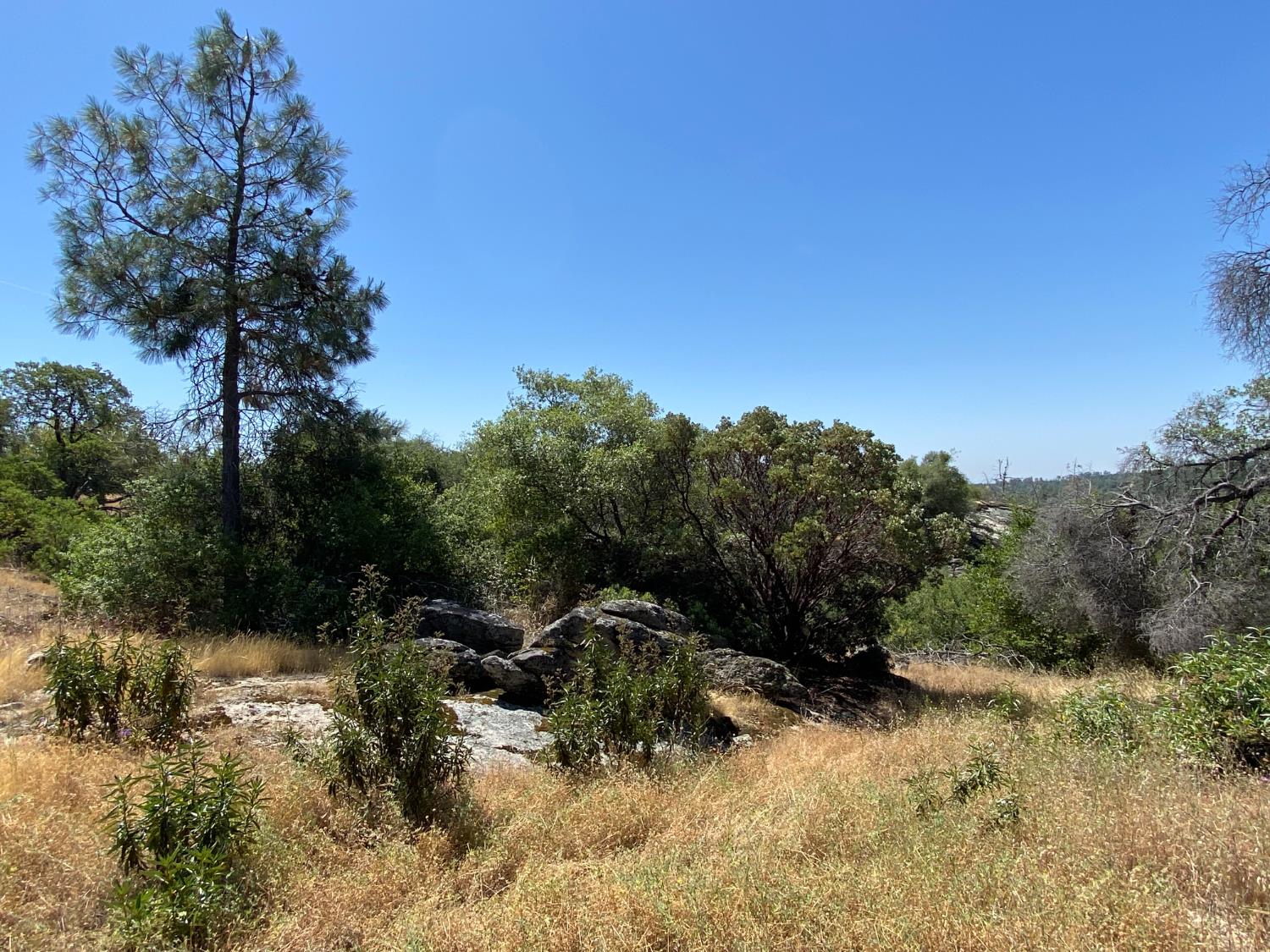 0 38.31 AC Flying O Ranch Rd., Coarsegold, CA 93614