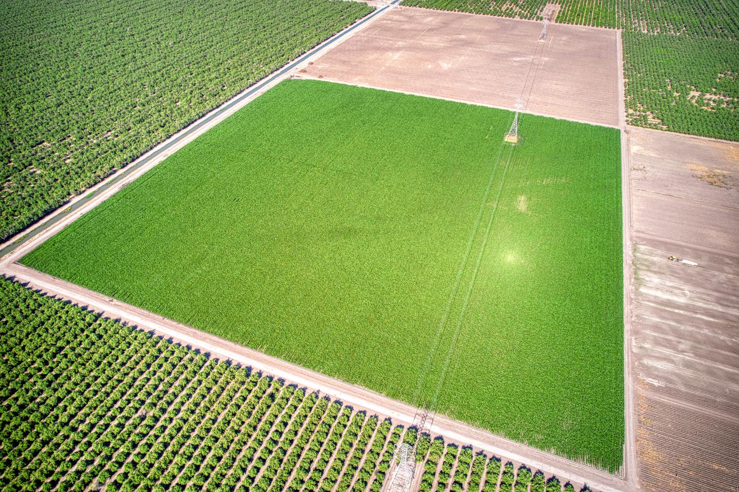 0 0 APN 030-111-18, San Joaquin, CA 93660