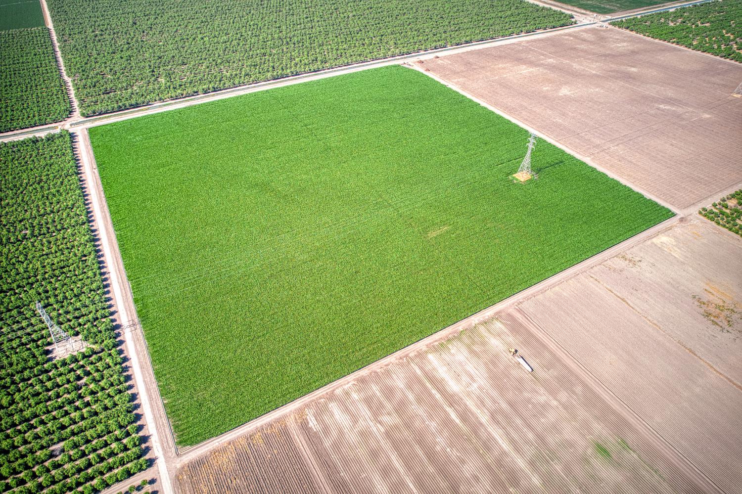 0 0 APN 030-111-18, San Joaquin, CA 93660