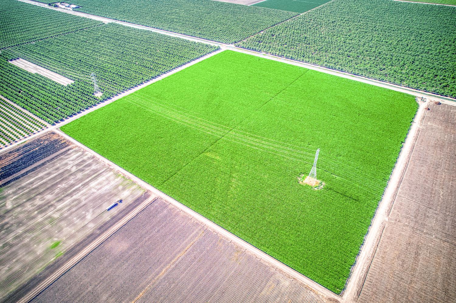 0 0 APN 030-111-18, San Joaquin, CA 93660