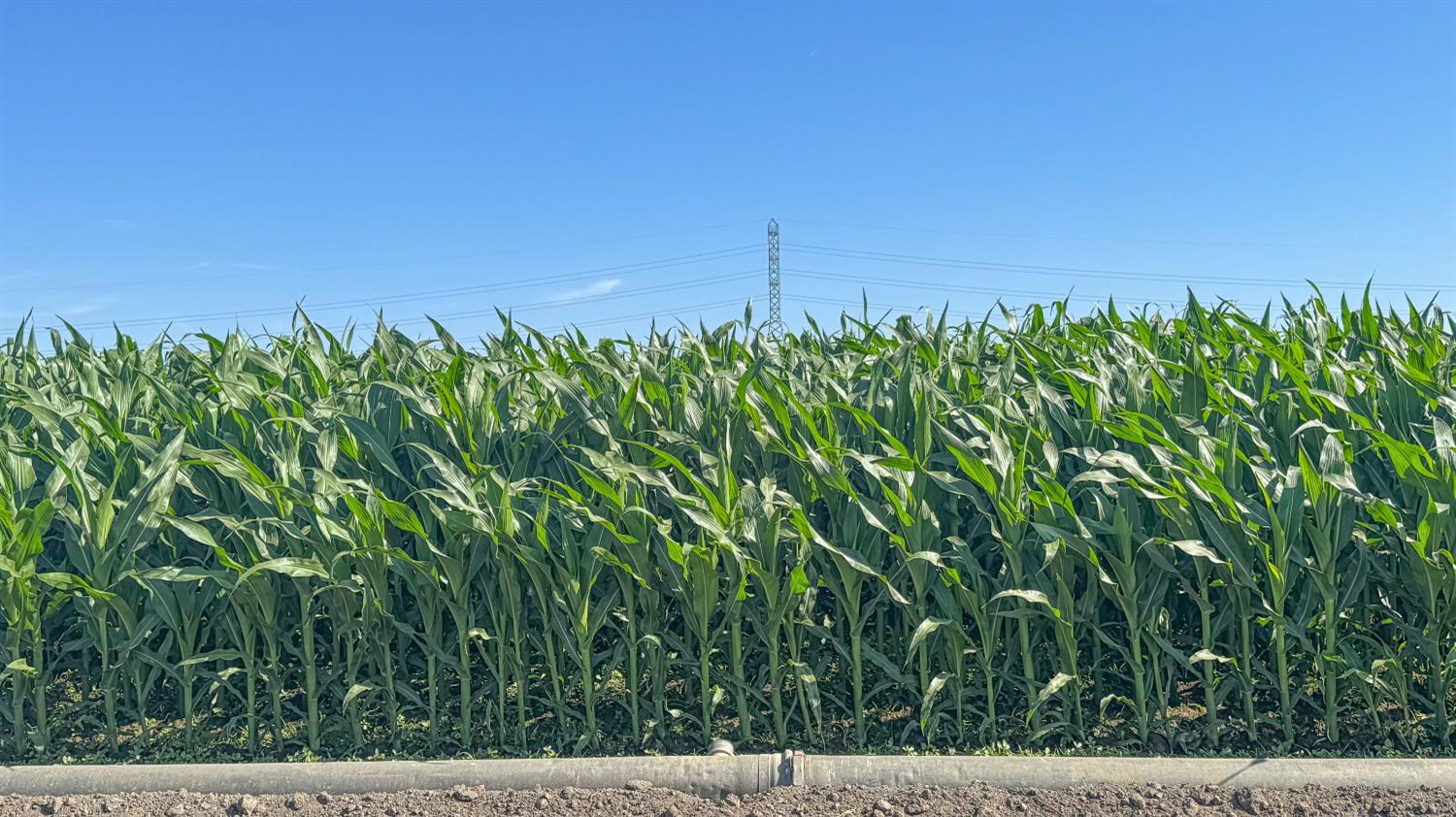 0 0 APN 030-111-18, San Joaquin, CA 93660