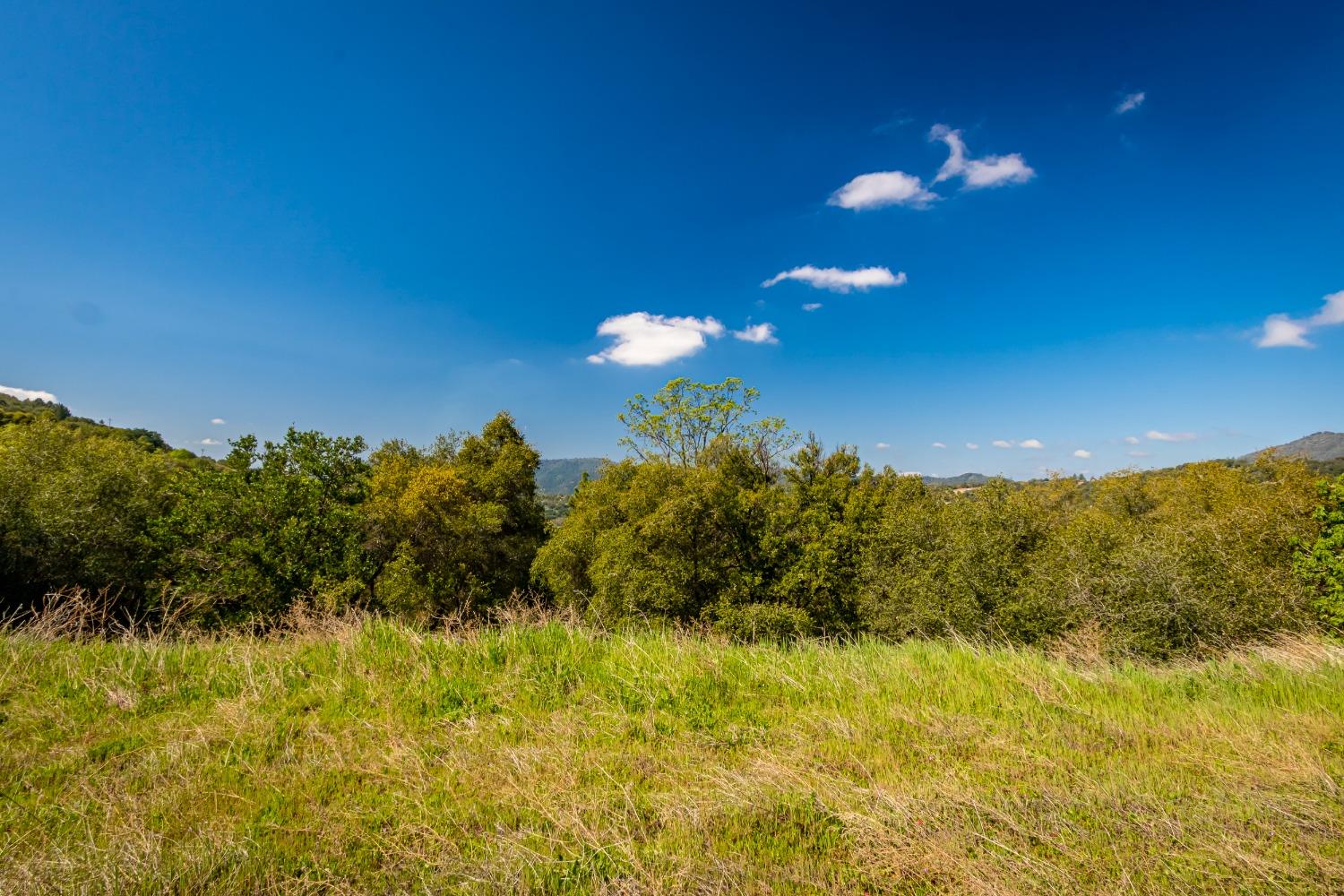 9 Valley Oak Dr, Ahwahnee, CA 93601