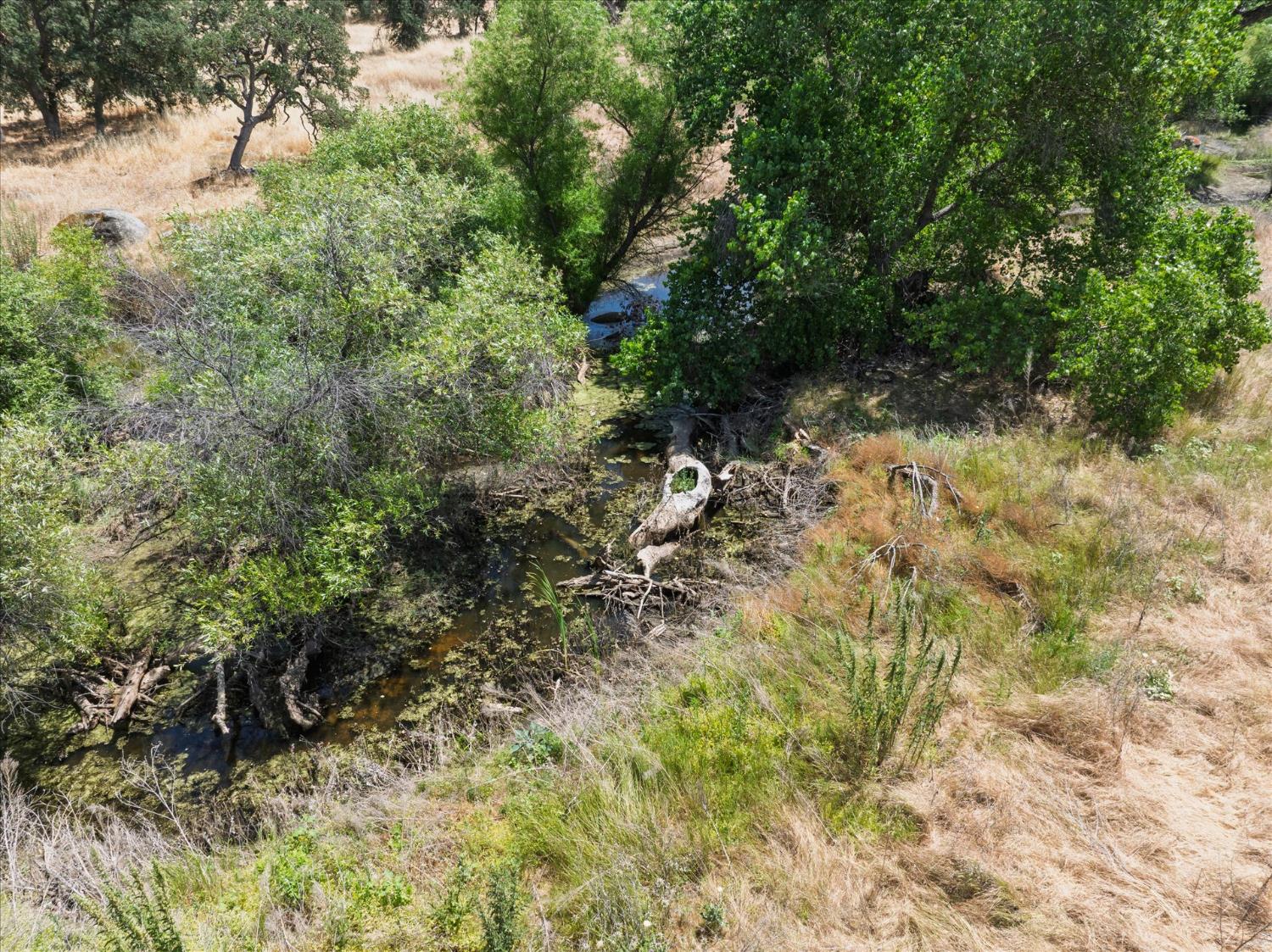 26667 Road 407, Raymond, CA 93653