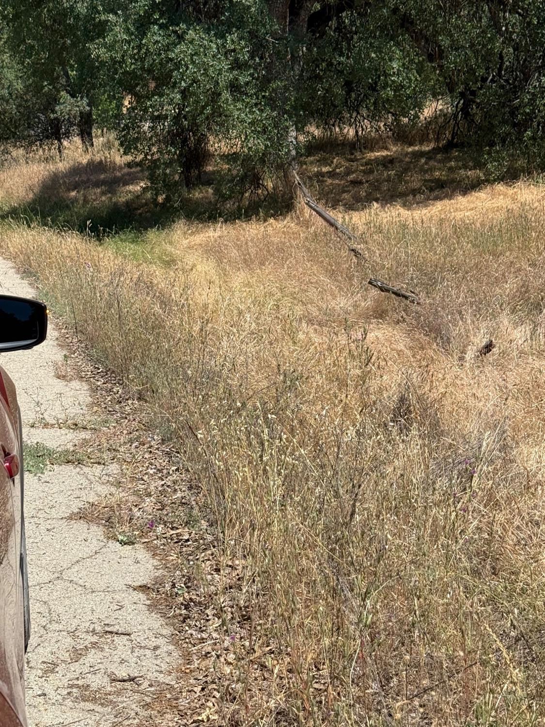 45160 Sand Creek Rd, Yokuts Valley, CA 93675