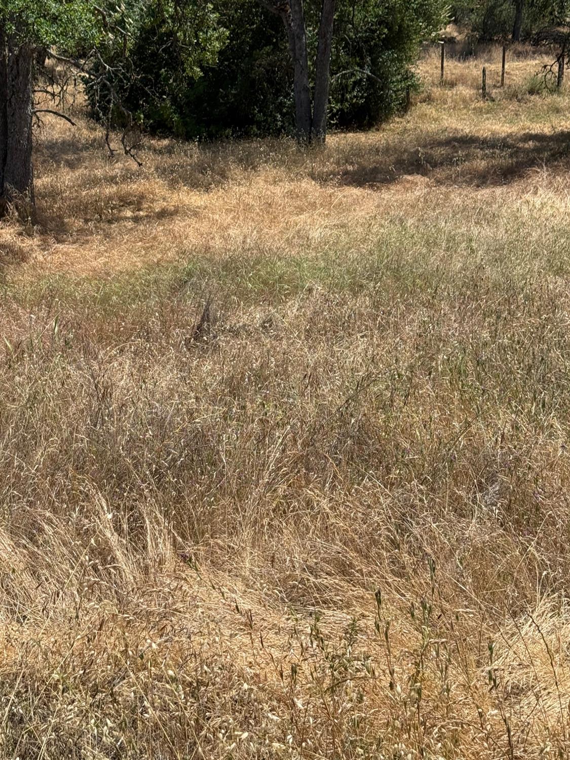 45160 Sand Creek Rd, Yokuts Valley, CA 93675