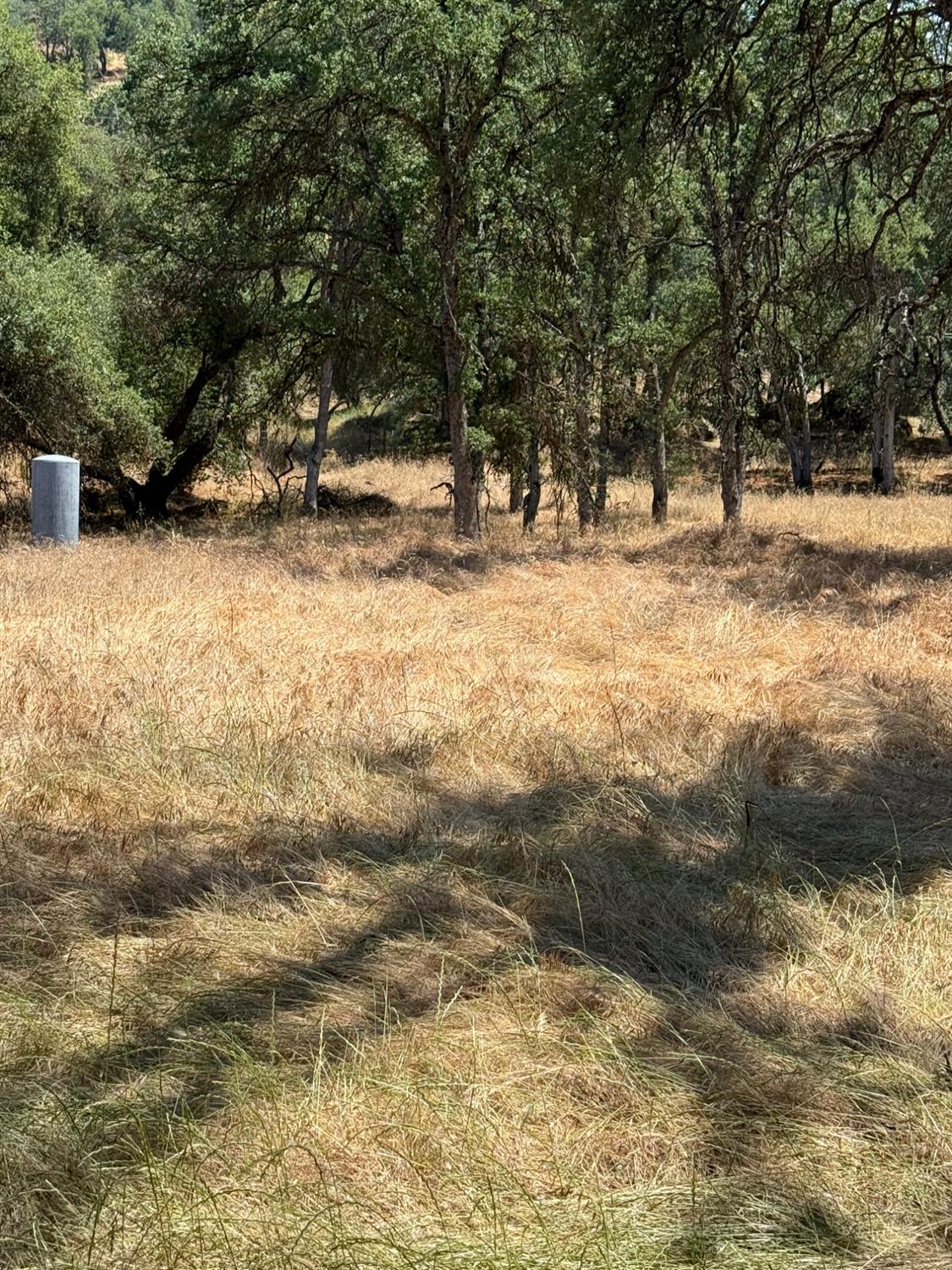 45160 Sand Creek Rd, Yokuts Valley, CA 93675