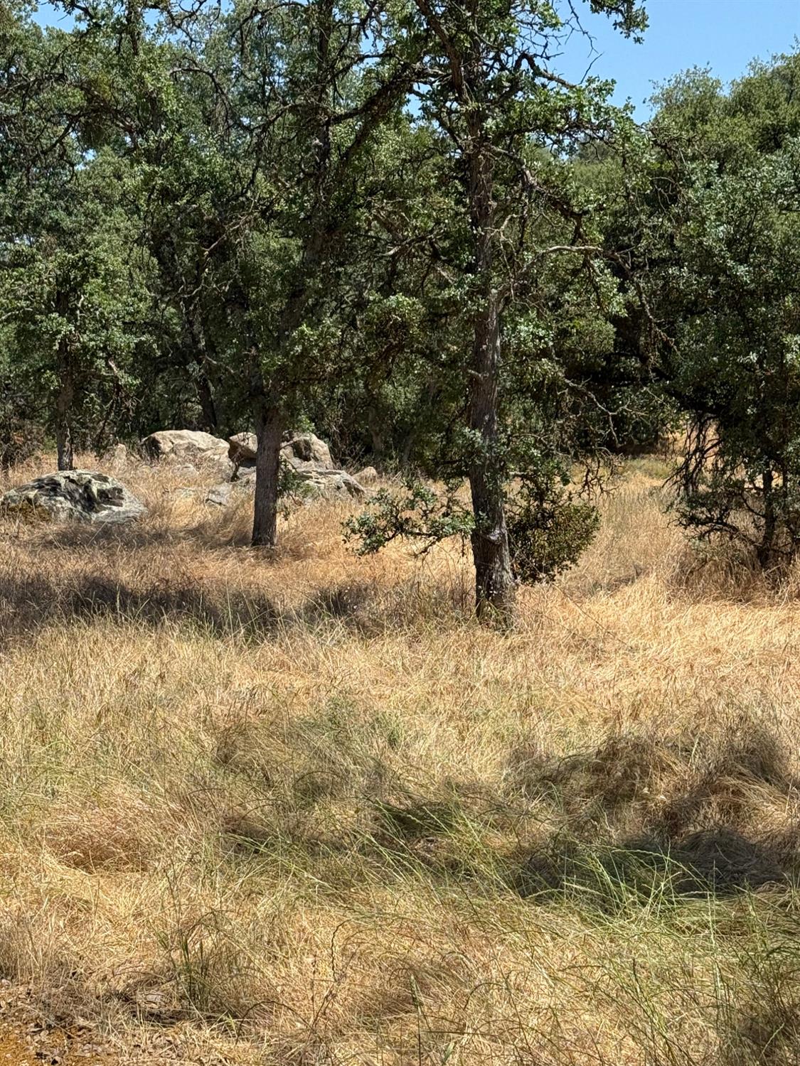 45160 Sand Creek Rd, Yokuts Valley, CA 93675