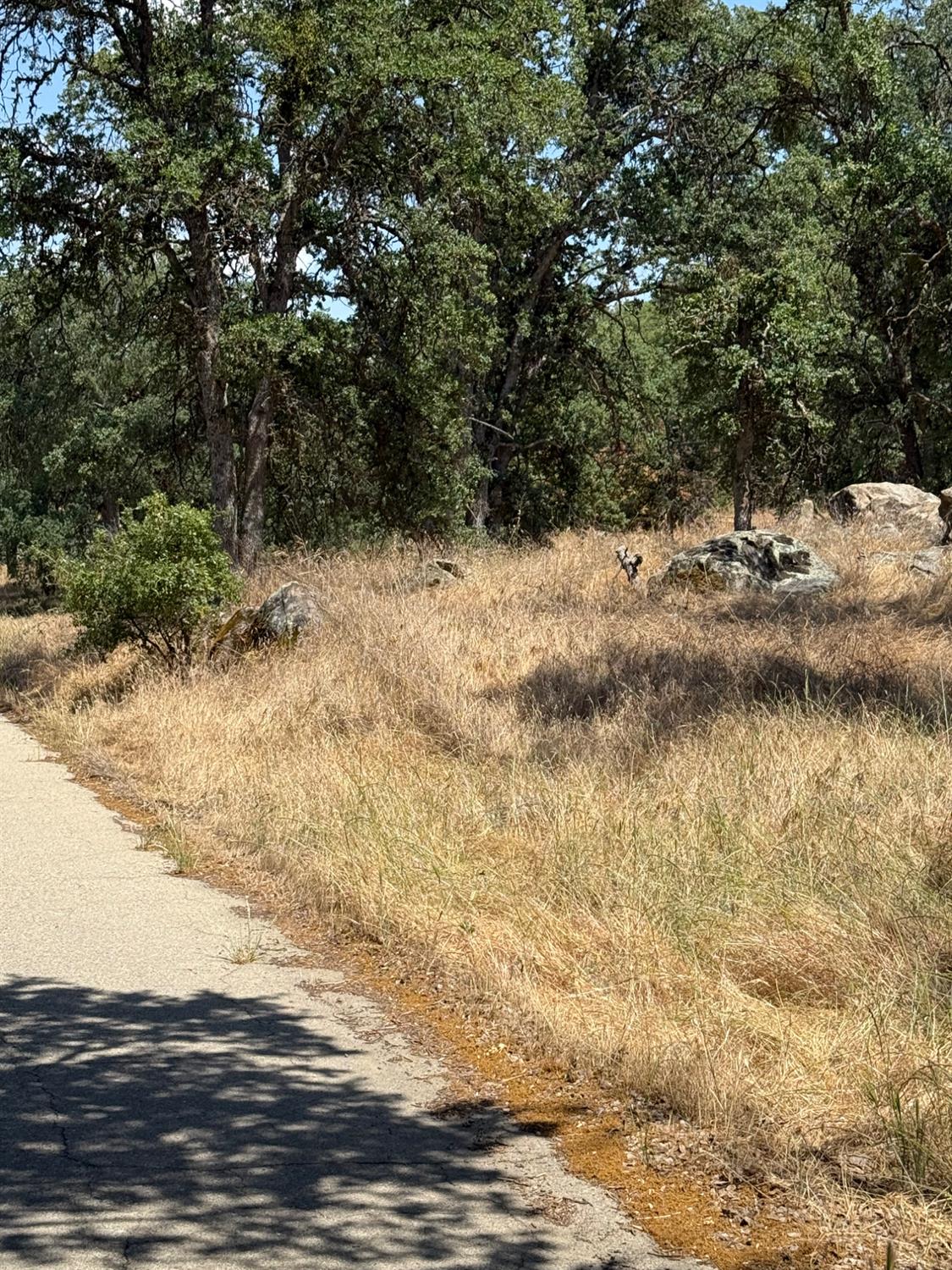 45160 Sand Creek Rd, Yokuts Valley, CA 93675