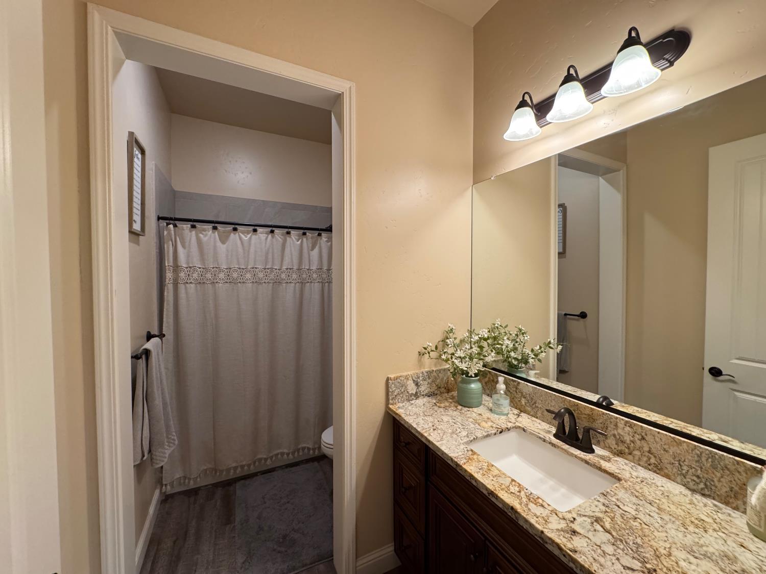 13390 E Falcon Meadow, Clovis, CA 93619