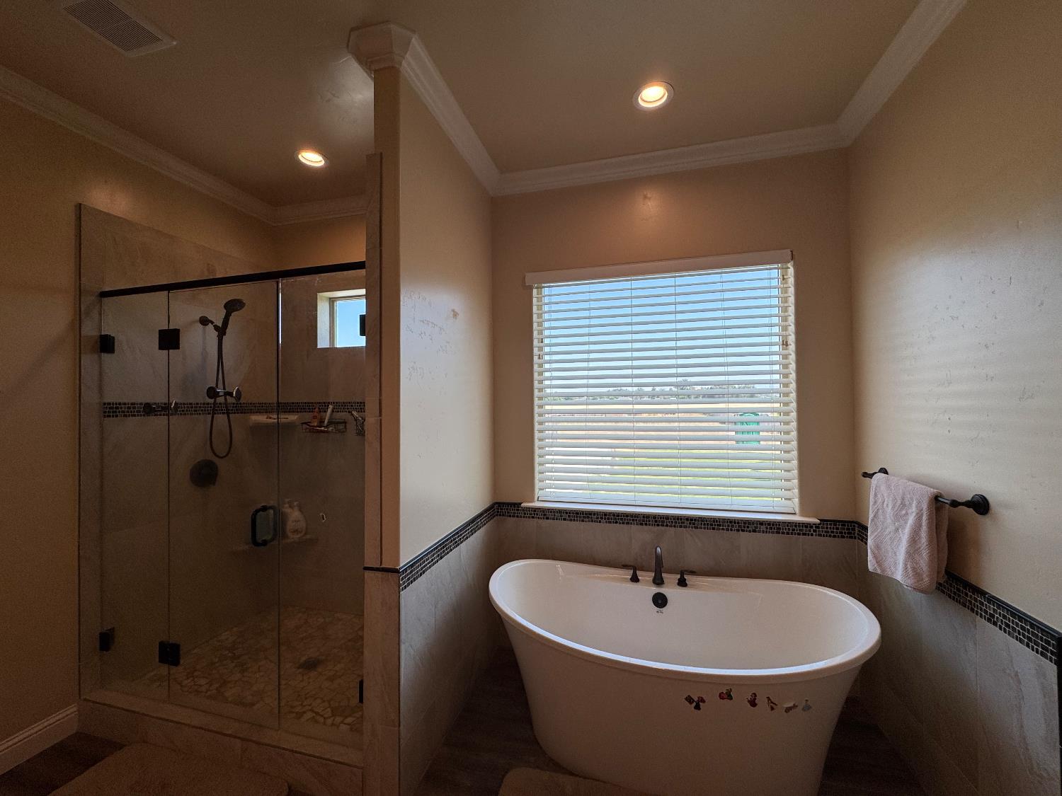 13390 E Falcon Meadow, Clovis, CA 93619