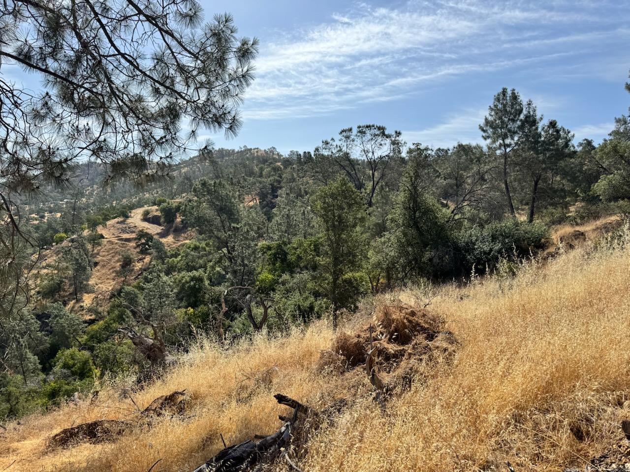 0 0 No Address, Friant, CA 93626