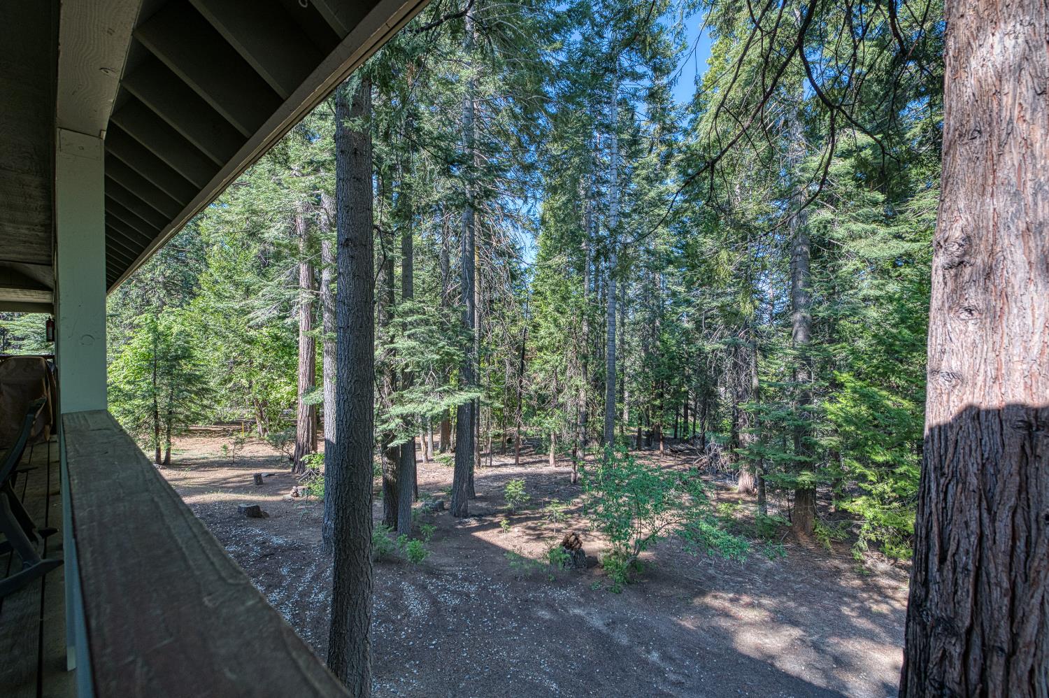 41228 Heartwood Ln, Shaver Lake, CA 93664