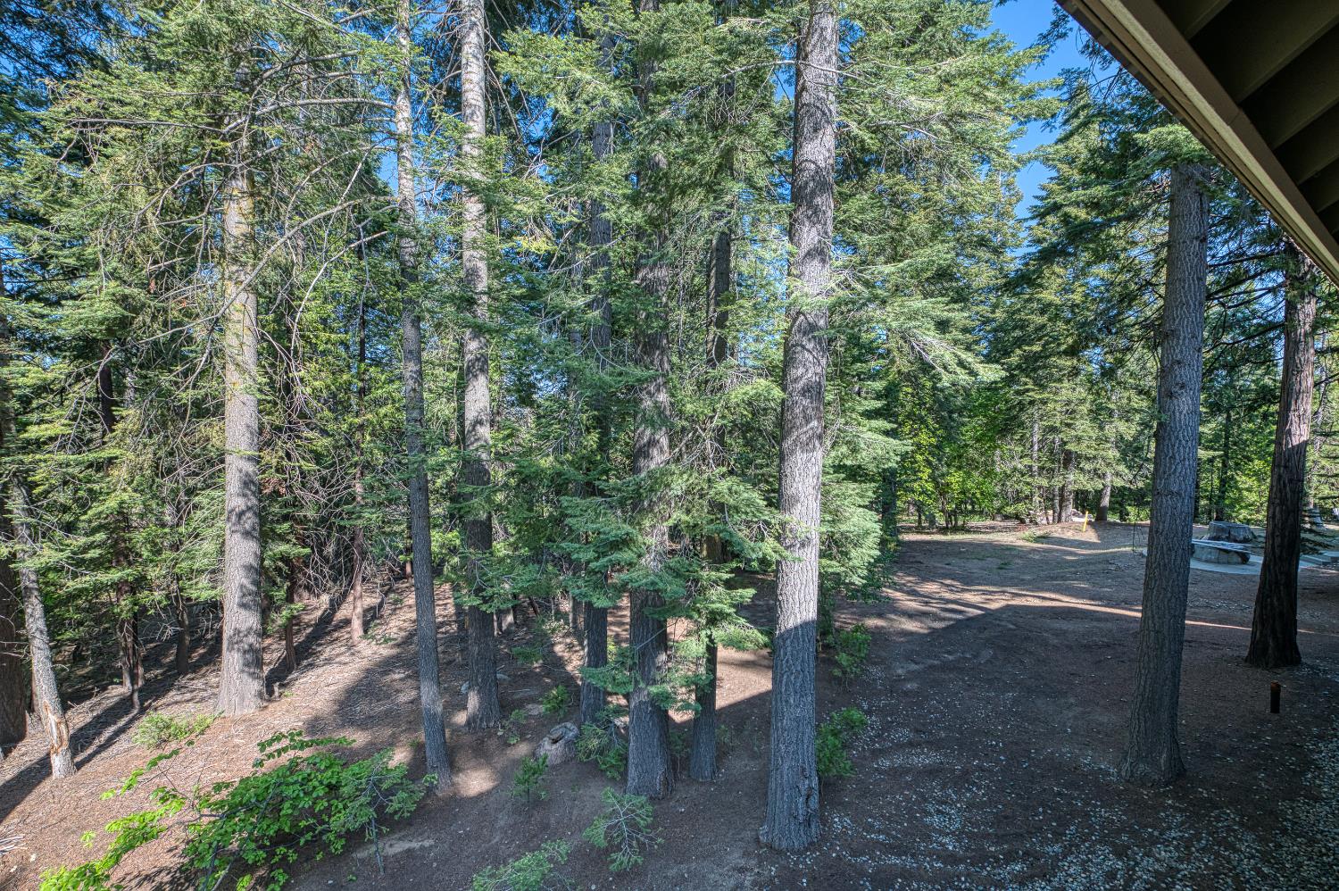 41228 Heartwood Ln, Shaver Lake, CA 93664